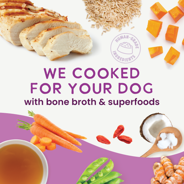The Health Extension Gently Cooked Sampler Pack is displayed with three pouches—Chicken & Pumpkin, Beef & Potato, and Turkey & Carrot recipes in bone broth—plus two bowls of these fresh dog meals shown in front.