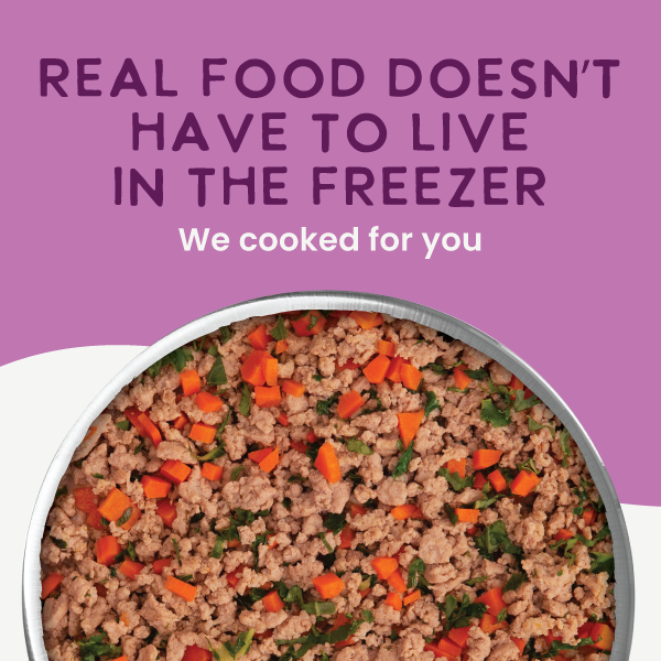 #recipe_grain-free duck and kale