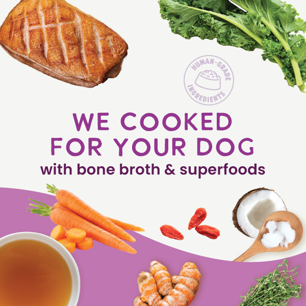 Gently Cooked Grain Free Duck & Kale Recipe