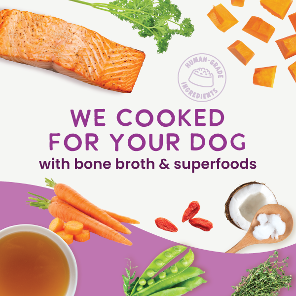 Gently Cooked Grain Free Salmon Recipe
