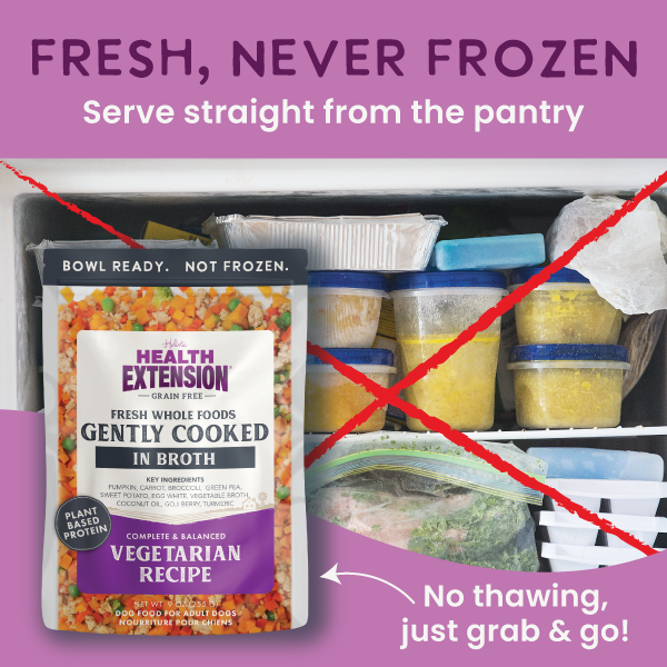 Gently Cooked Grain Free Vegetarian Recipe