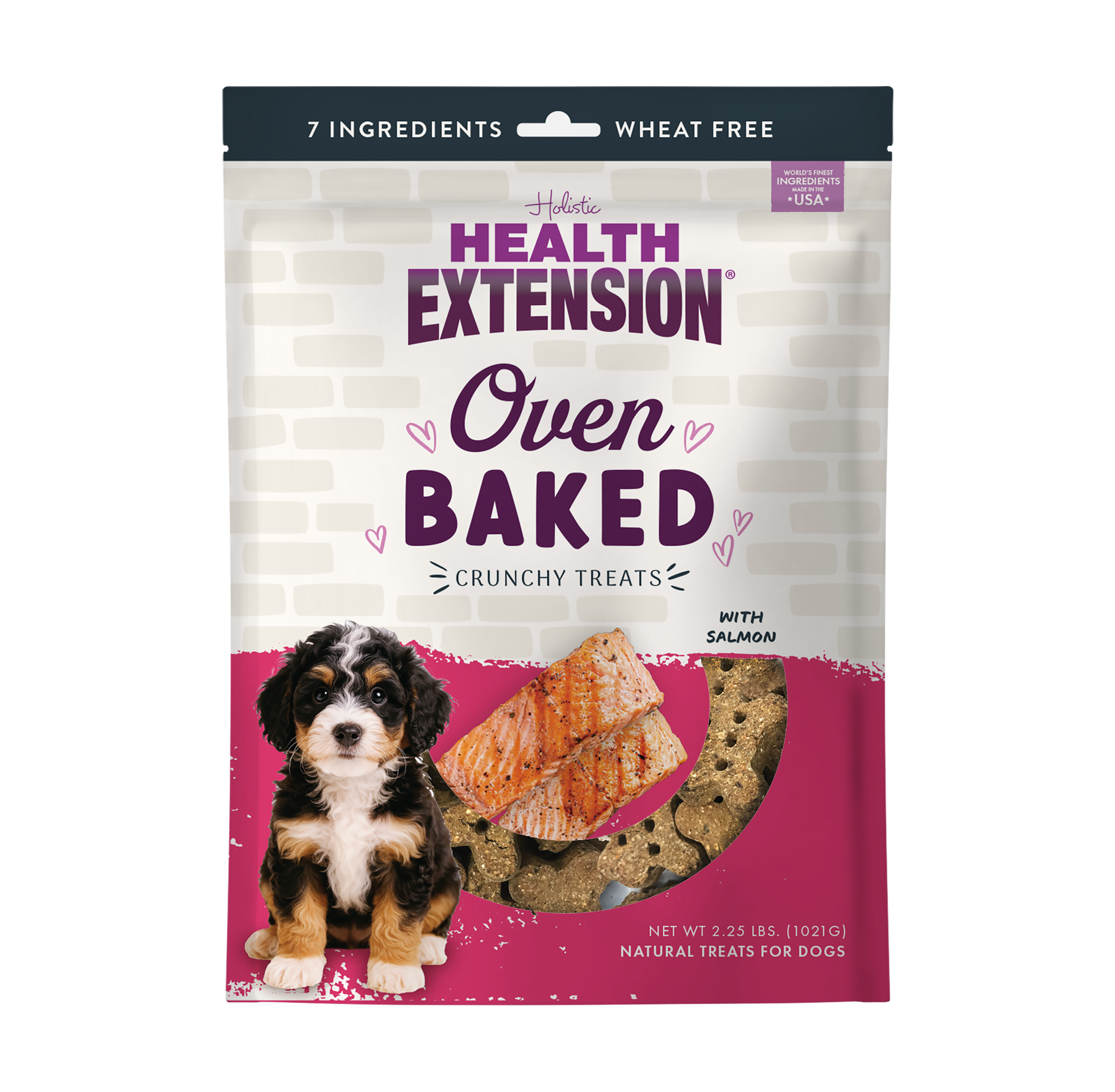 A bag of Health Extension Oven Baked Salmon Treats for dogs, with a puppy photo and salmon pieces on the packaging, highlights these wheat-free, oven baked dog treats made with real salmon.