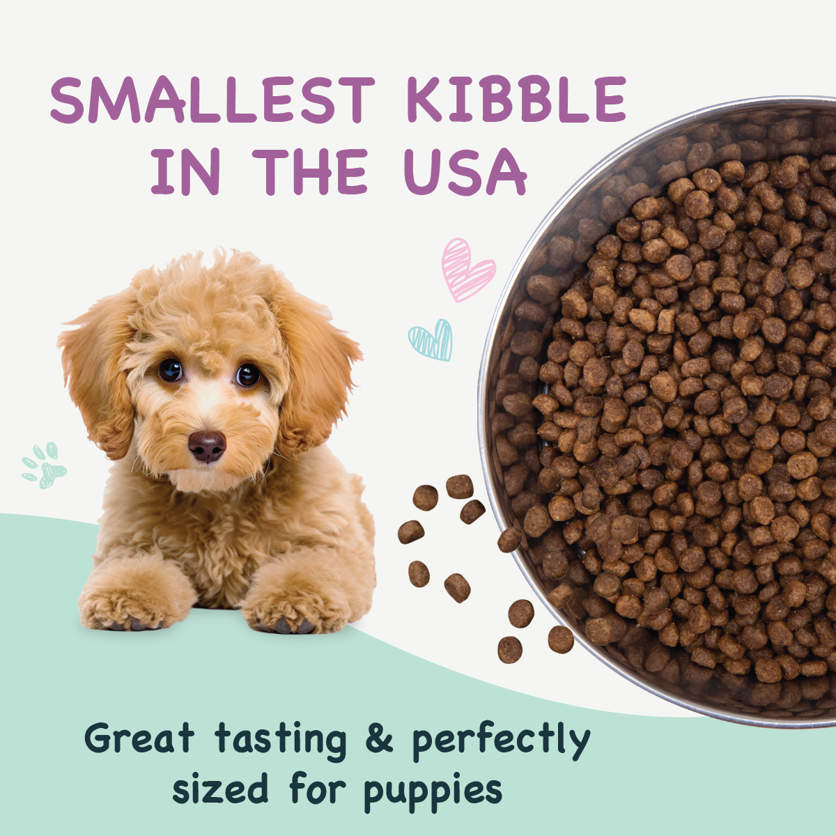 Health Extension Puppy Little Bites features a small brown and white puppy on a purple bag with colorful icons and nutrition info—ideal for small breed puppies, made with natural ingredients.