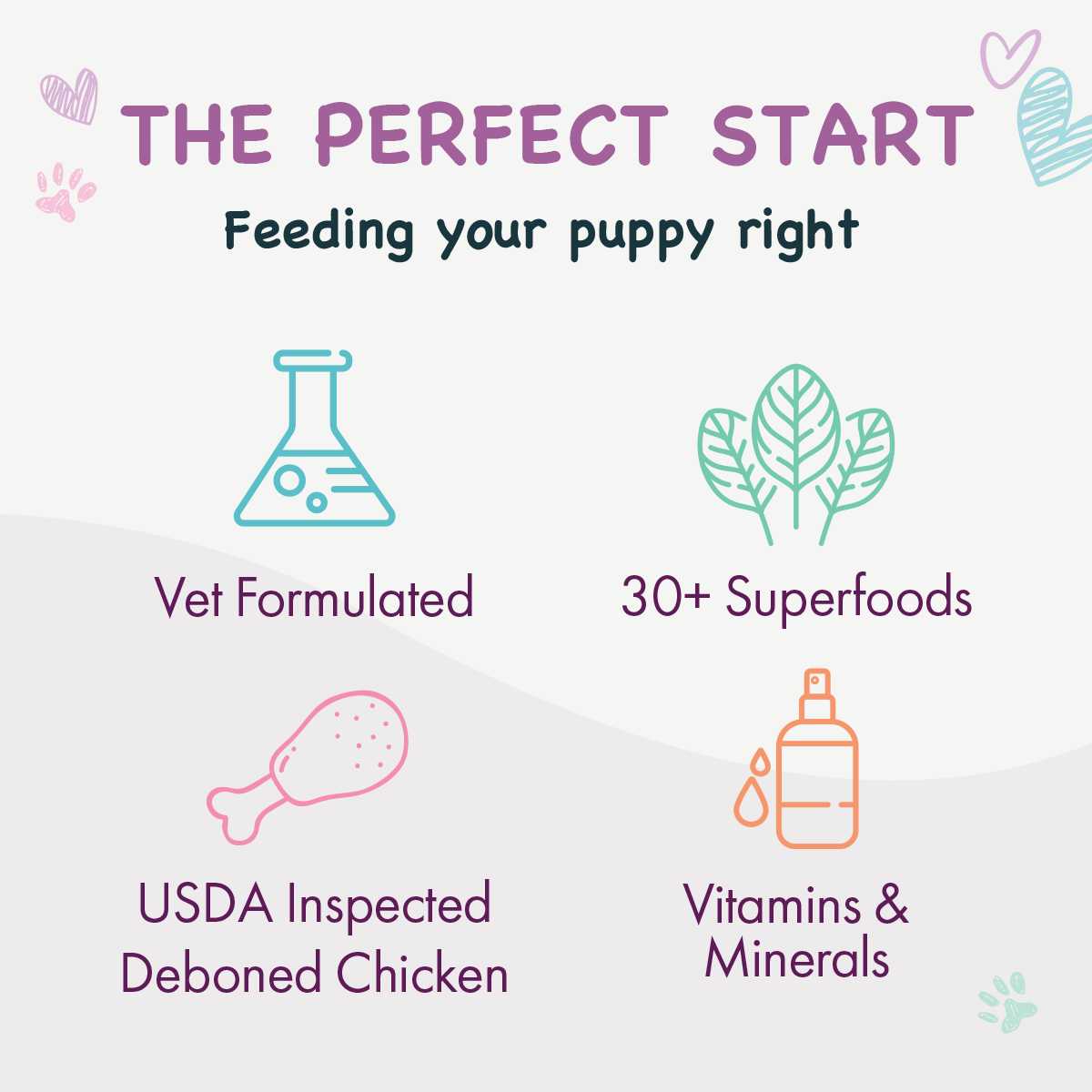 Health Extension Puppy Little Bites features a small brown and white puppy on a purple bag with colorful icons and nutrition info—ideal for small breed puppies, made with natural ingredients.