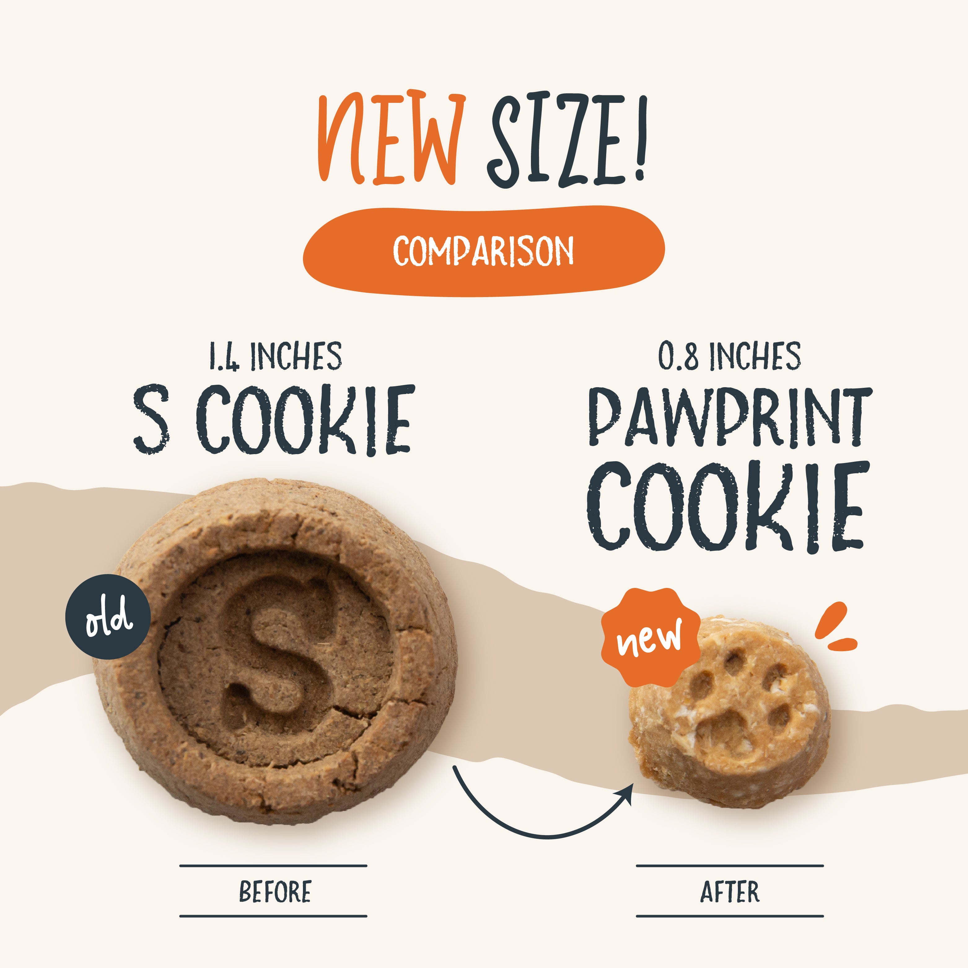 A bag of Ancestry Sammy Snacks With Pumpkin features a golden retriever puppy, pumpkin pieces, and a clear window showing healthy treats inside. The packaging highlights non-GMO ingredients and coconut oil.
