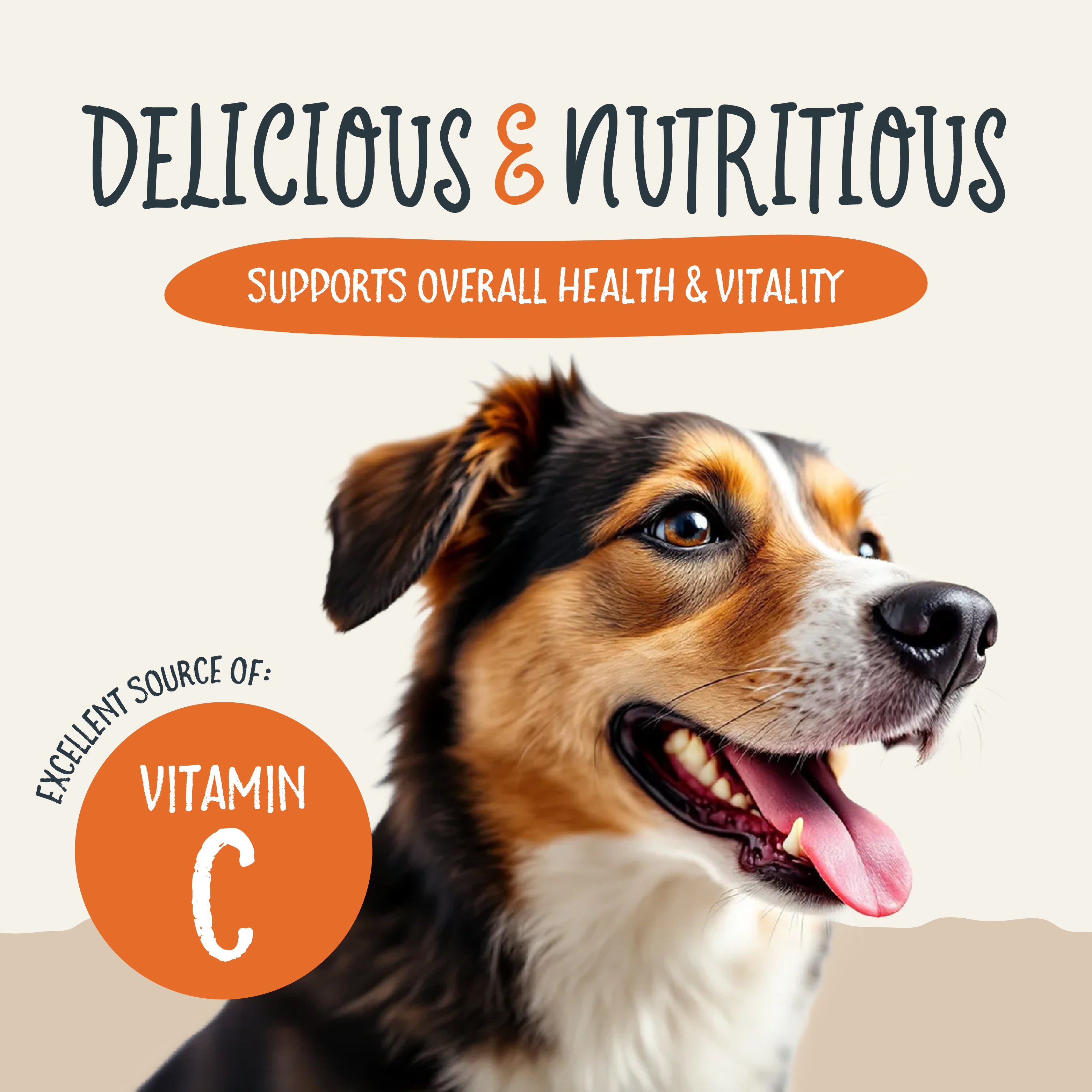A bag of Ancestry Sammy Snacks With Pumpkin features a golden retriever puppy, pumpkin pieces, and a clear window showing healthy treats inside. The packaging highlights non-GMO ingredients and coconut oil.