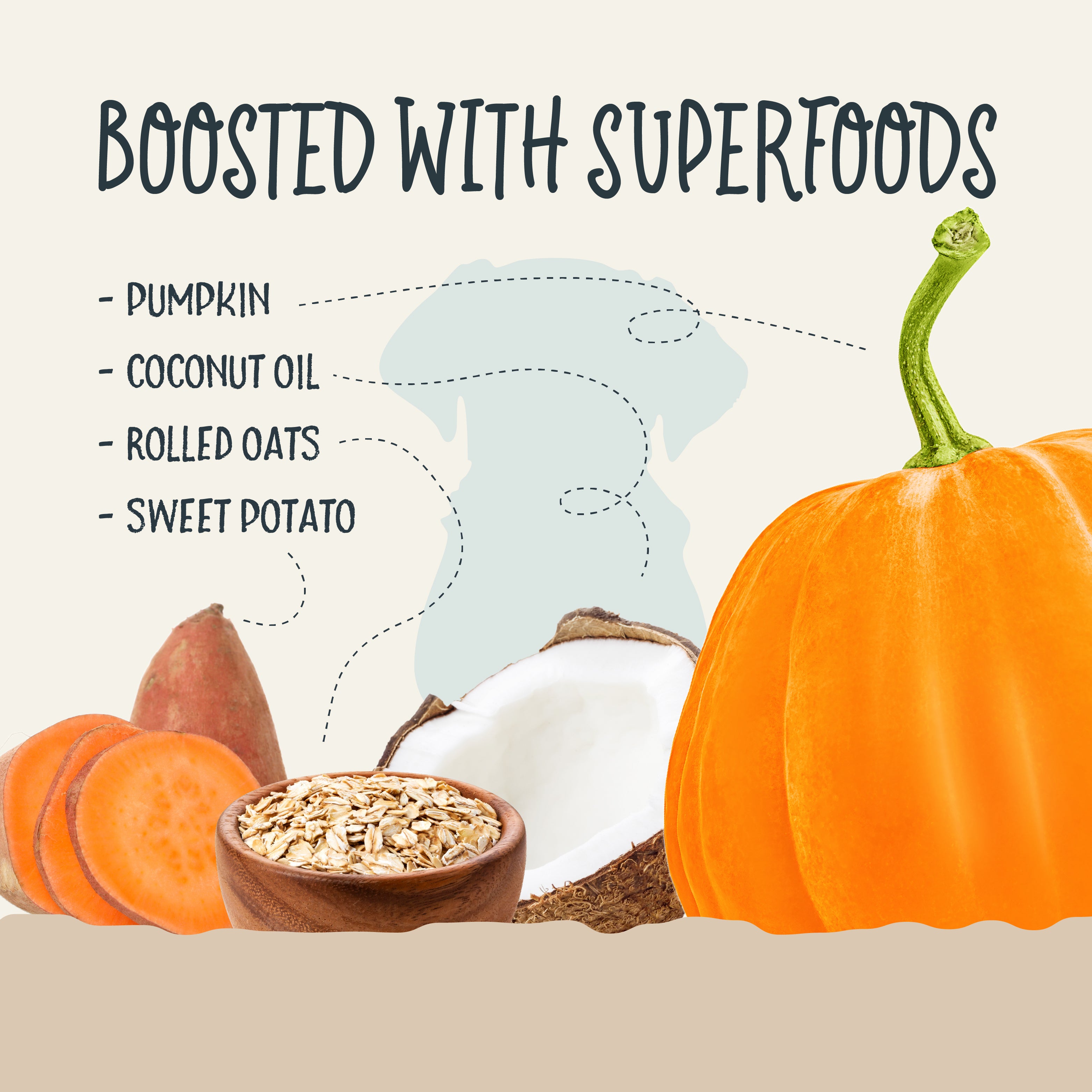 A bag of Ancestry Sammy Snacks With Pumpkin features a golden retriever puppy, pumpkin pieces, and a clear window showing healthy treats inside. The packaging highlights non-GMO ingredients and coconut oil.
