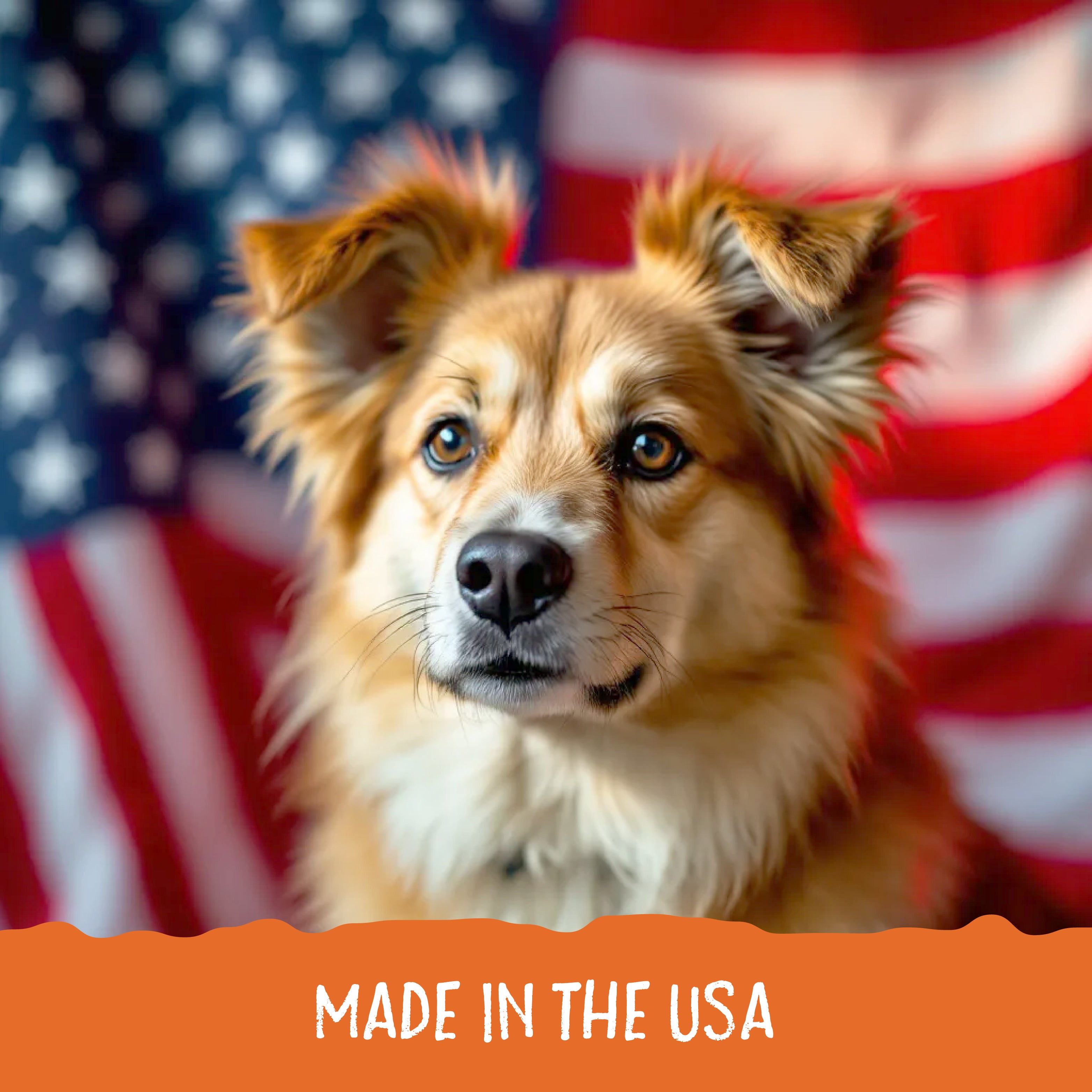 A bag of Ancestry Sammy Snacks With Pumpkin features a golden retriever puppy, pumpkin pieces, and a clear window showing healthy treats inside. The packaging highlights non-GMO ingredients and coconut oil.