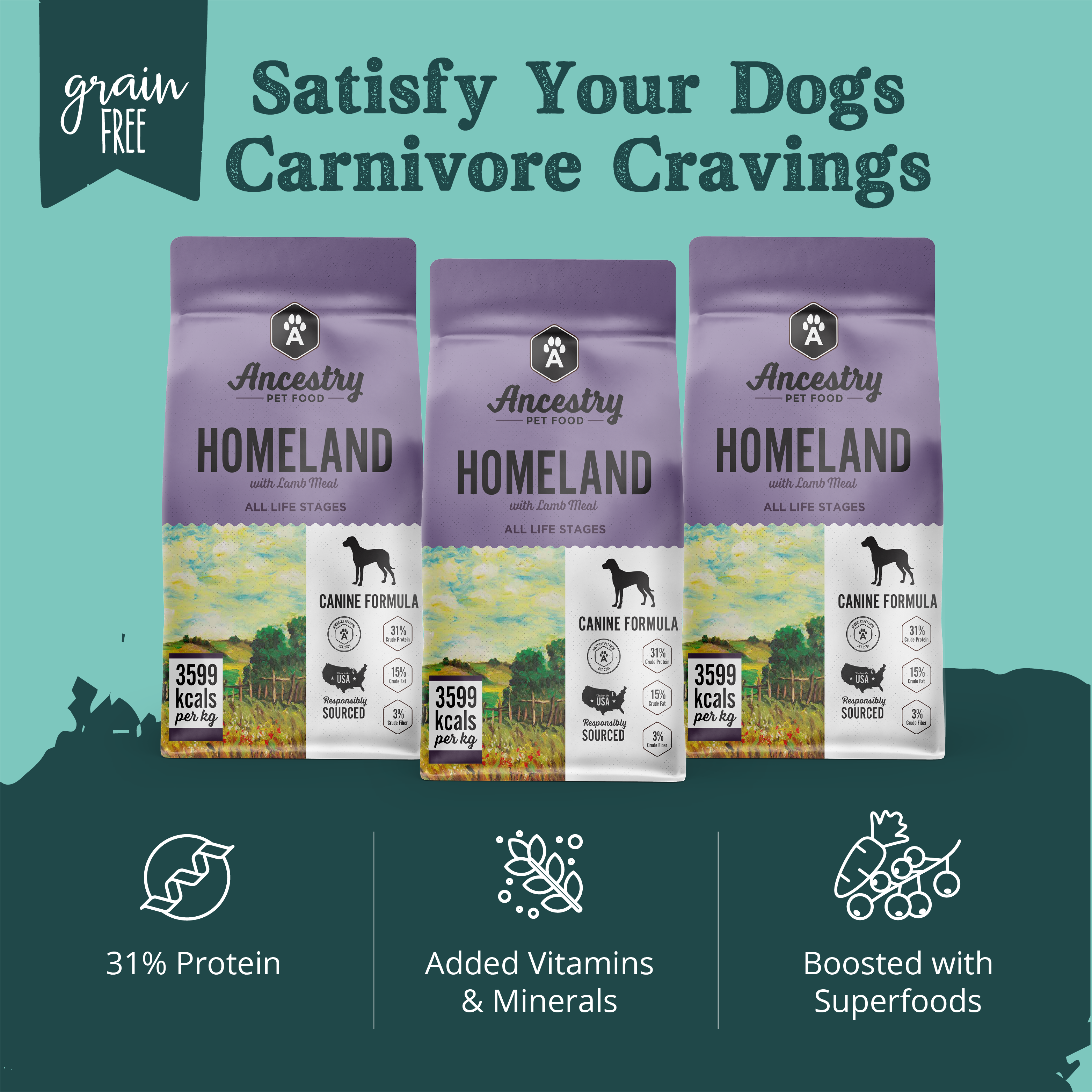 Three bags of Ancestry Homeland With Lamb Meal dog food are shown with text highlighting: grain free, 31% protein, added vitamins & minerals, boosted with superfoods, and satisfies your dog's carnivore cravings.