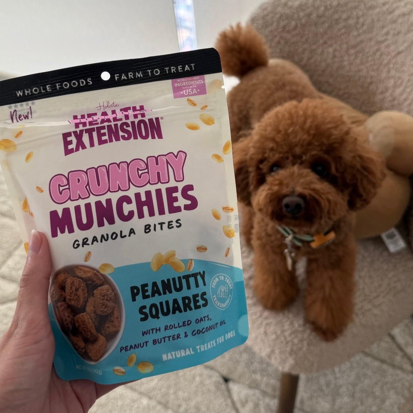 Hand holding a package of 'Crunchy Munchies' peanut squares with a dog in the background.