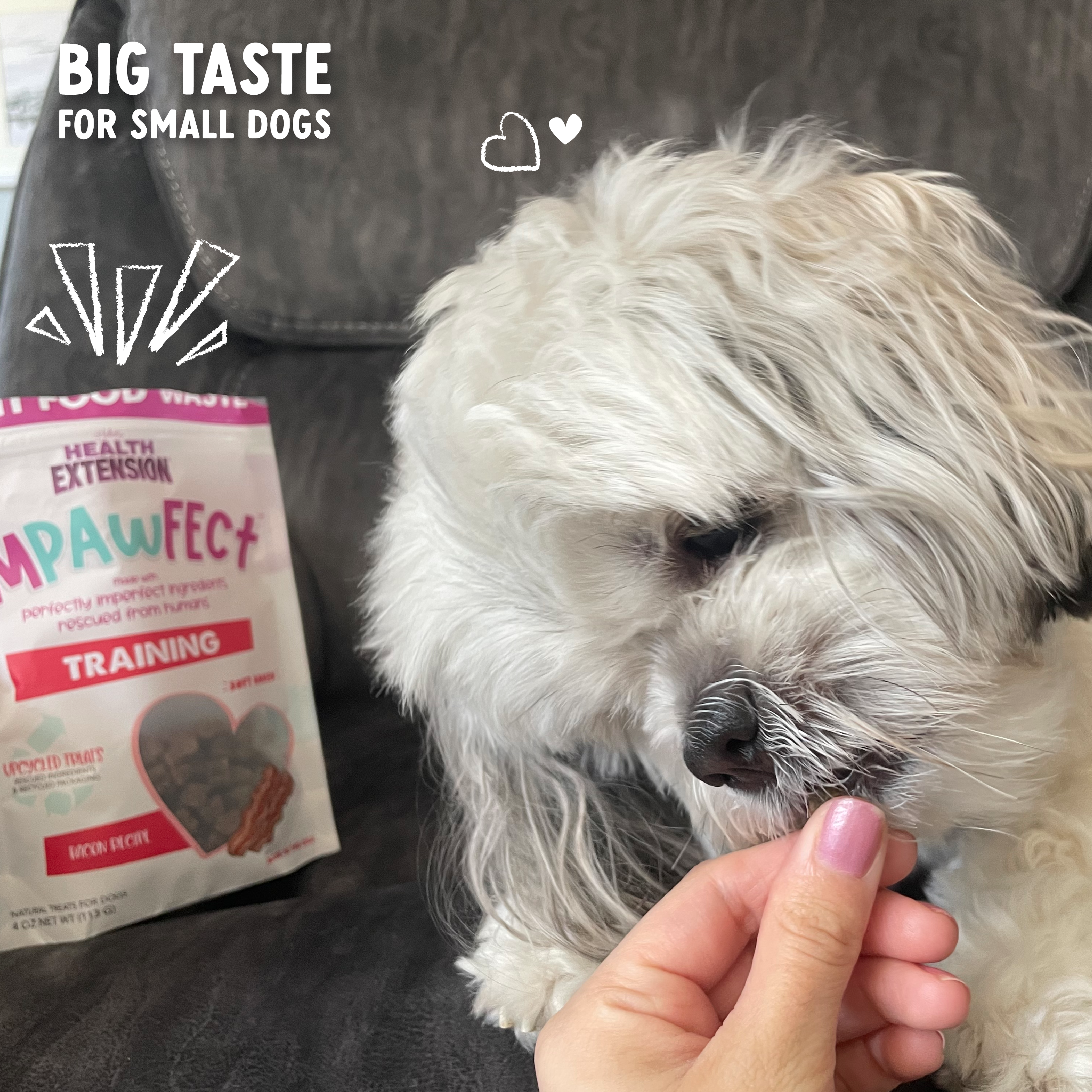 Health Extension Impawfect Bacon Training Treats are heart-shaped dog treats made from upcycled ingredients to help fight food waste, all packaged in recyclable bags.