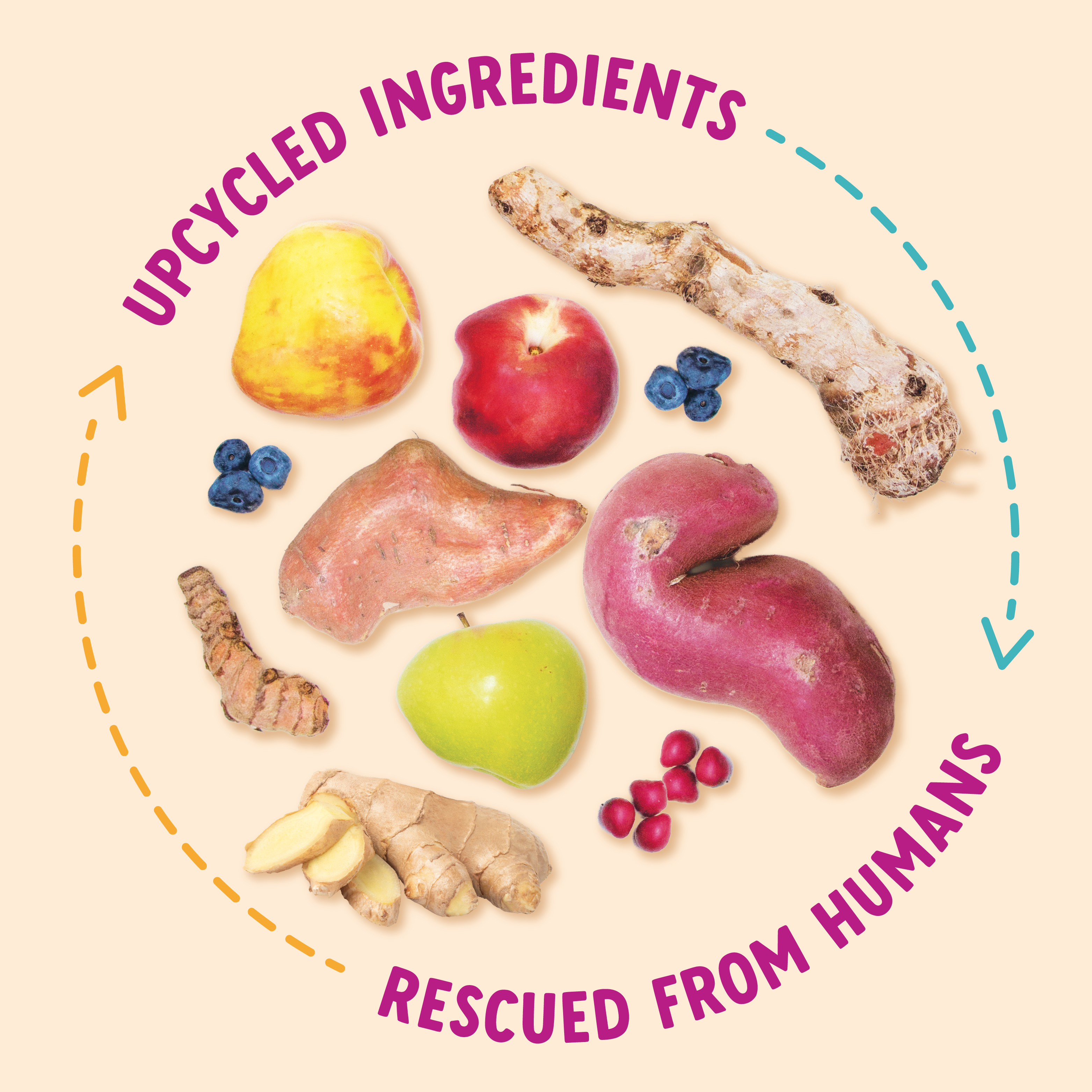 A bag of Health Extension Impawfect Sweet Potato & Turmeric for Hip & Joint Support dog treats, soft-baked and made with upcycled ingredients, features a Fight Food Waste banner on the packaging.