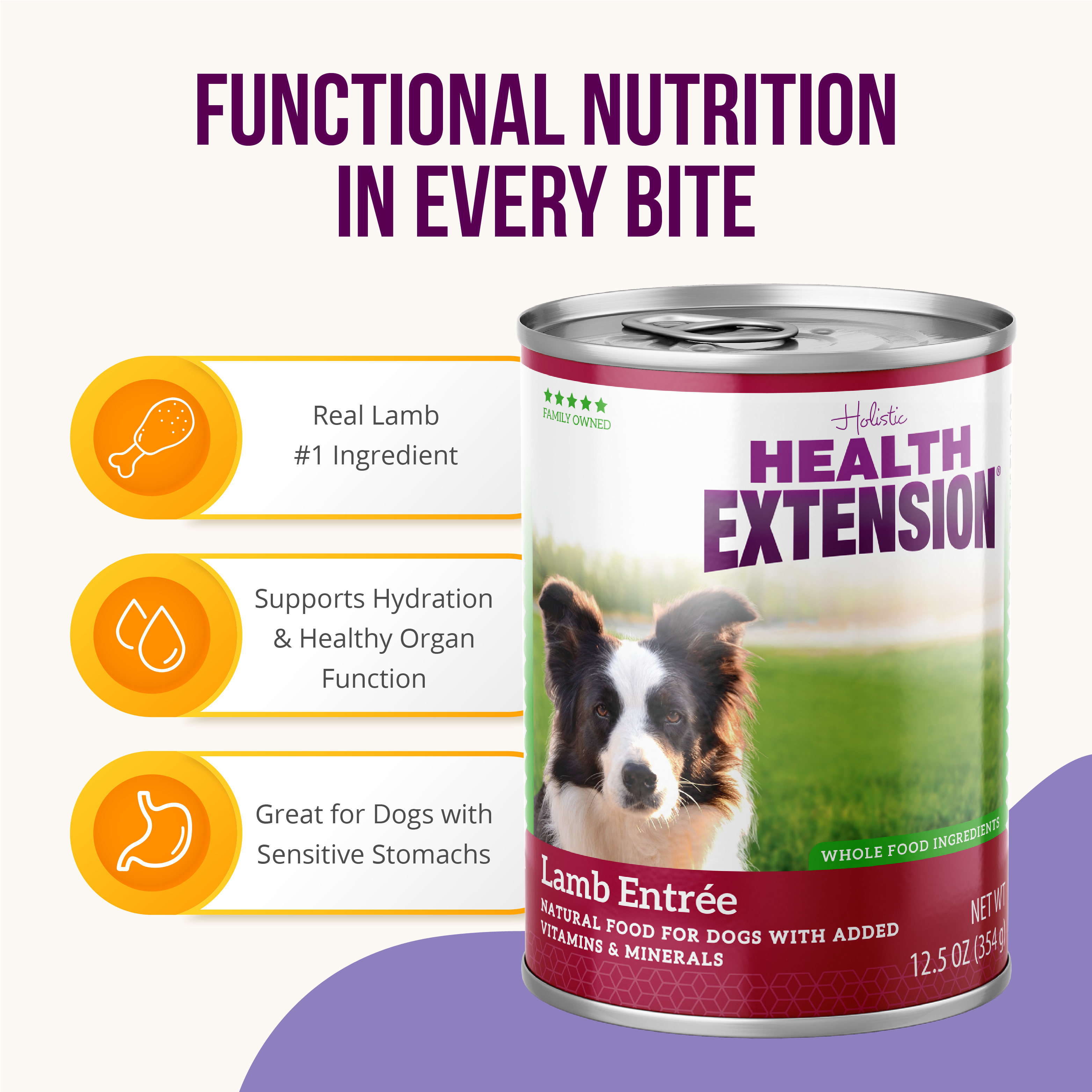 A 12.5 oz can of Health Extension Lamb Entrée dog food features a black and white dog on grassy background, highlighting holistic ingredients plus added vitamins and minerals for a wholesome meal.