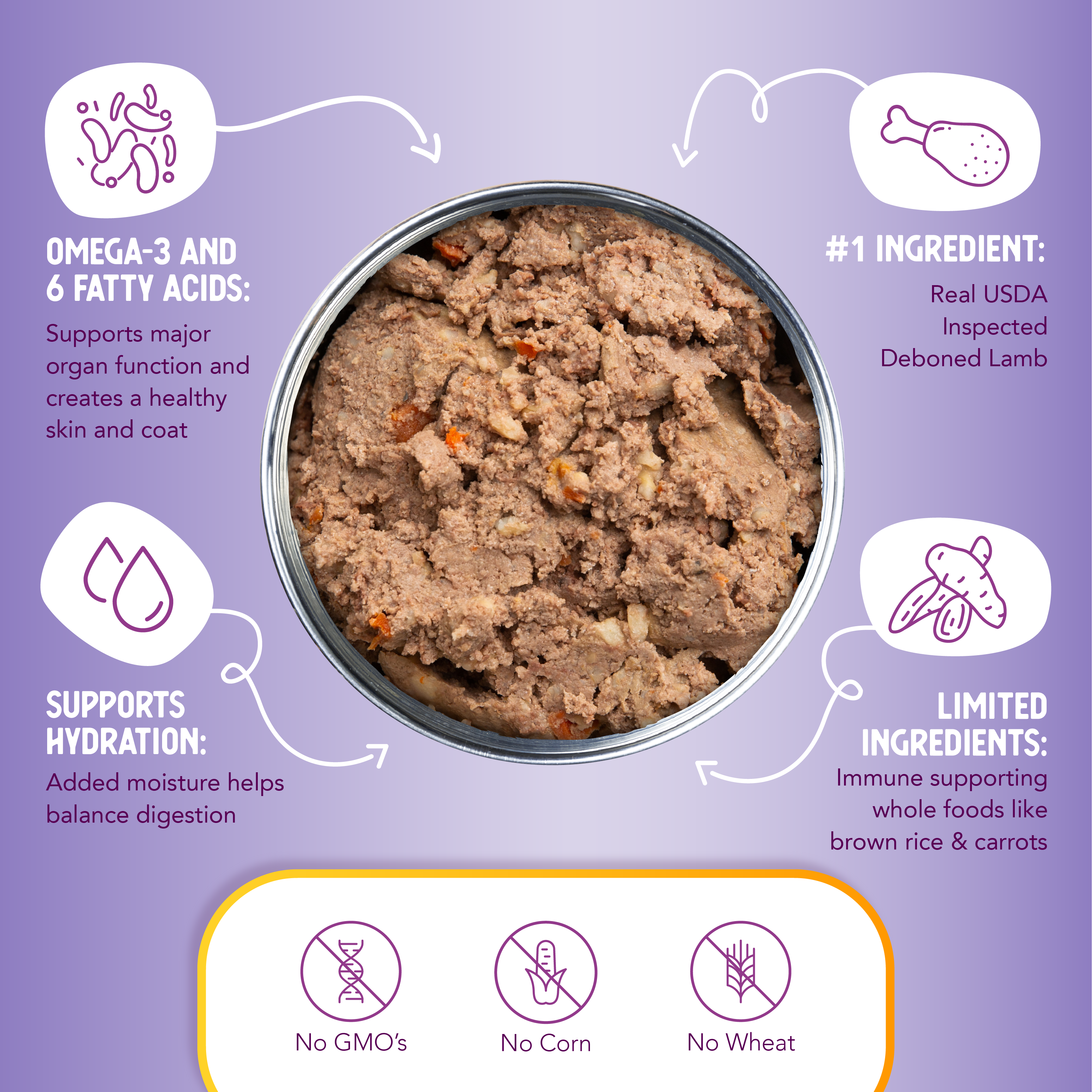 A 12.5 oz can of Health Extension Lamb Entrée dog food features a black and white dog on grassy background, highlighting holistic ingredients plus added vitamins and minerals for a wholesome meal.