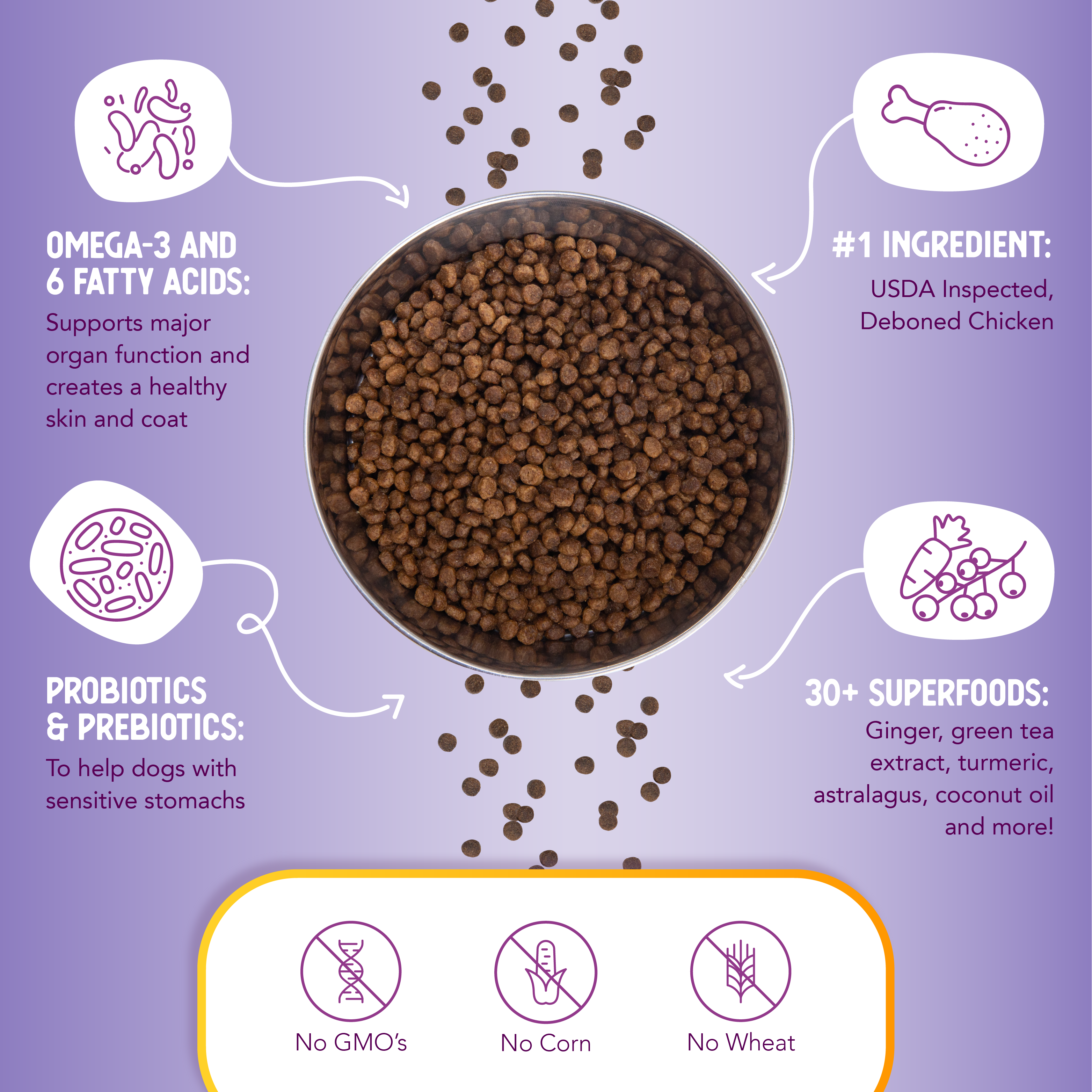 A bag of Health Extension Little Bites Lite Chicken & Brown Rice Recipe for adult dogs, featuring 50% less fat and 30+ superfoods, with packaging showing a happy beige dog.