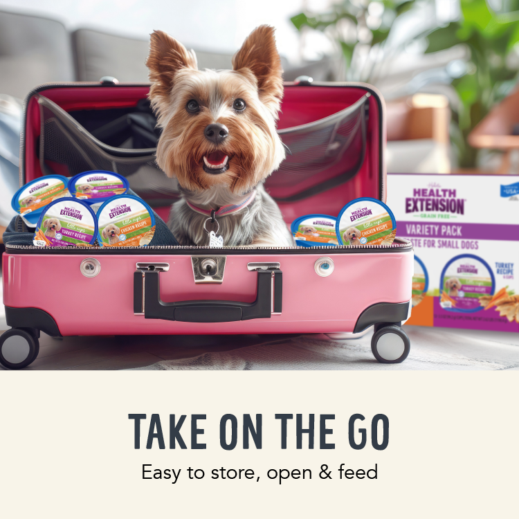 Little Cups for Small Breed