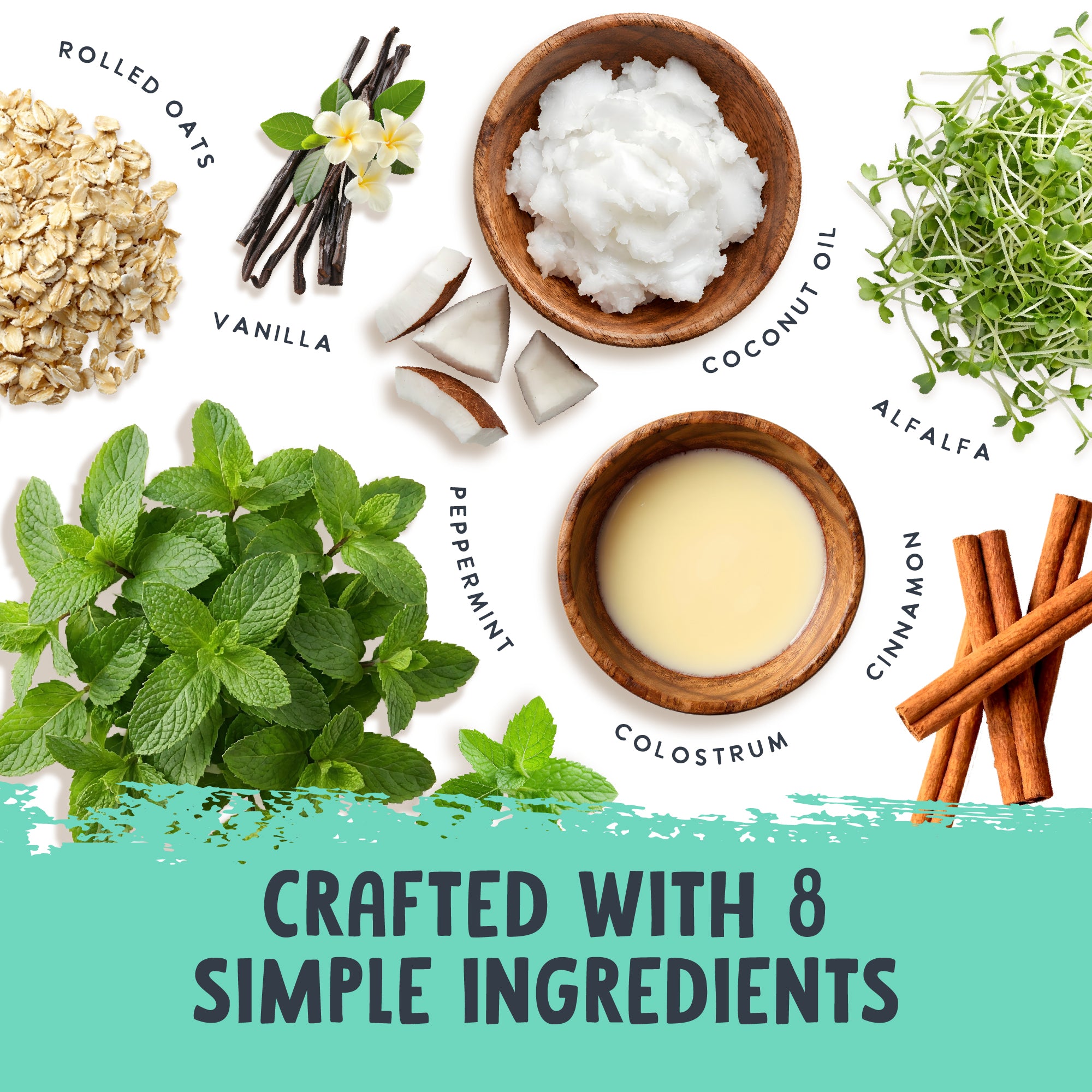 Equine Mint Crunch Treats with Colostrum