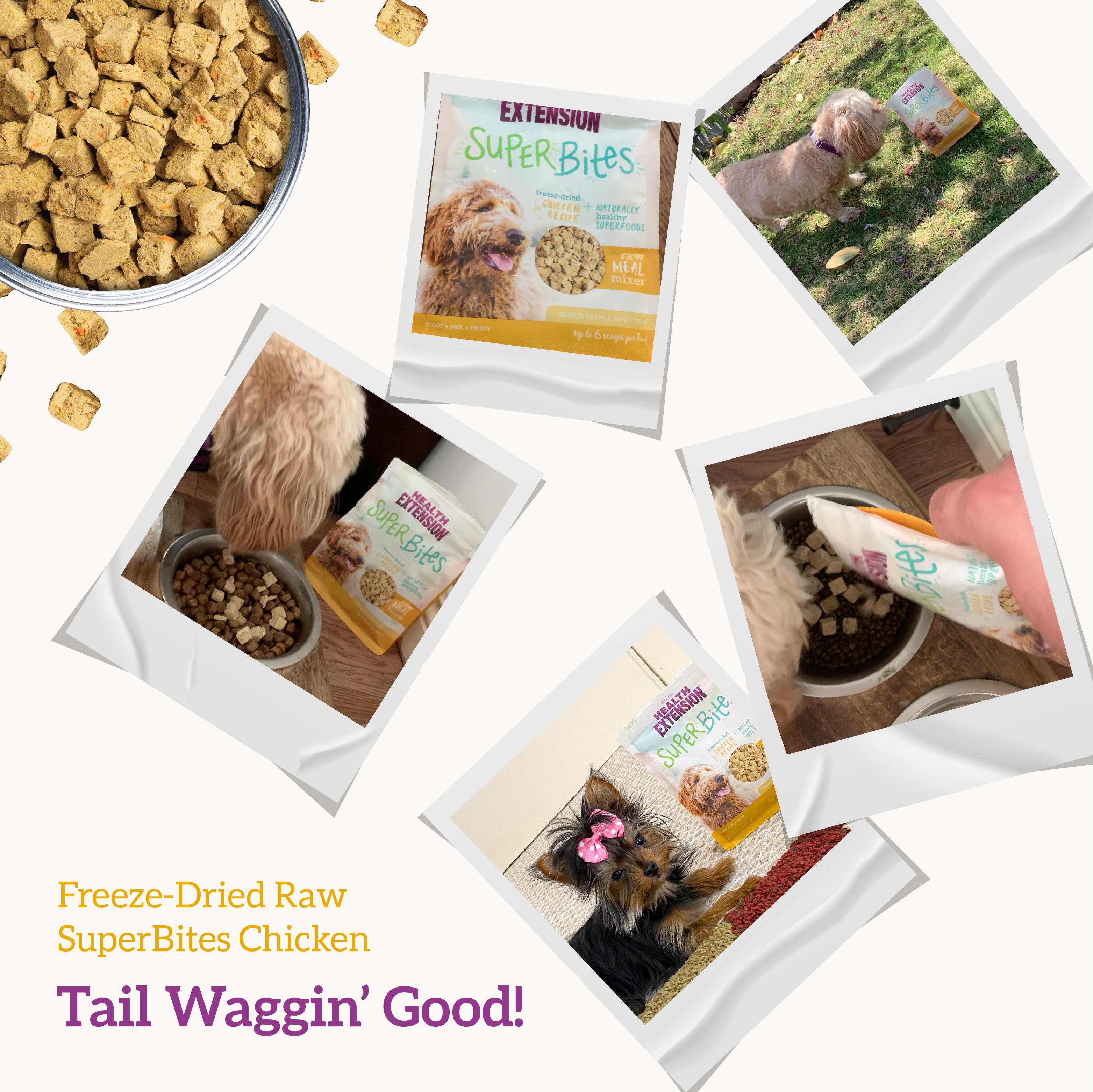 SuperBites Freeze Dried Raw Chicken