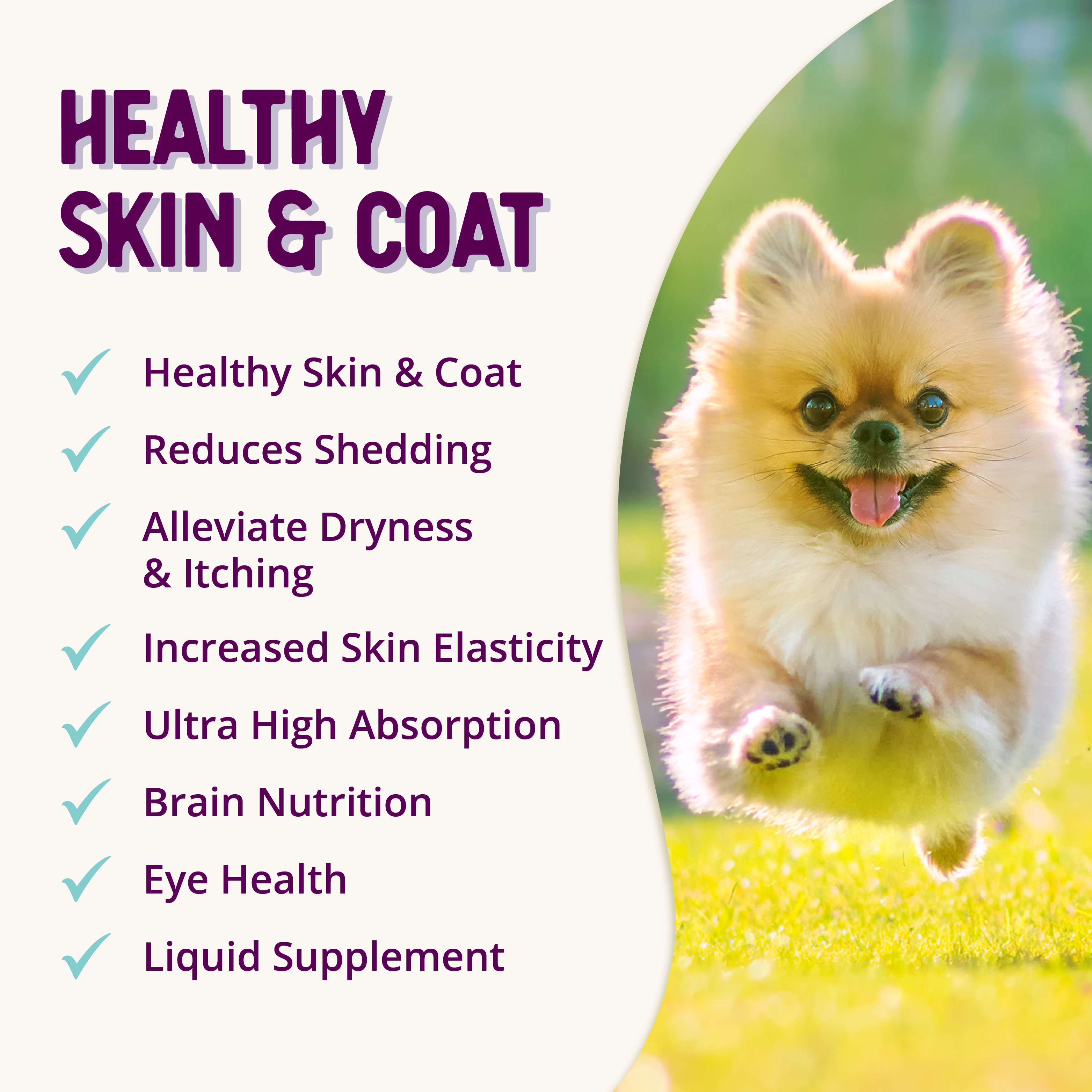 HEALTHY SKIN Vibrant Coat Supplement
