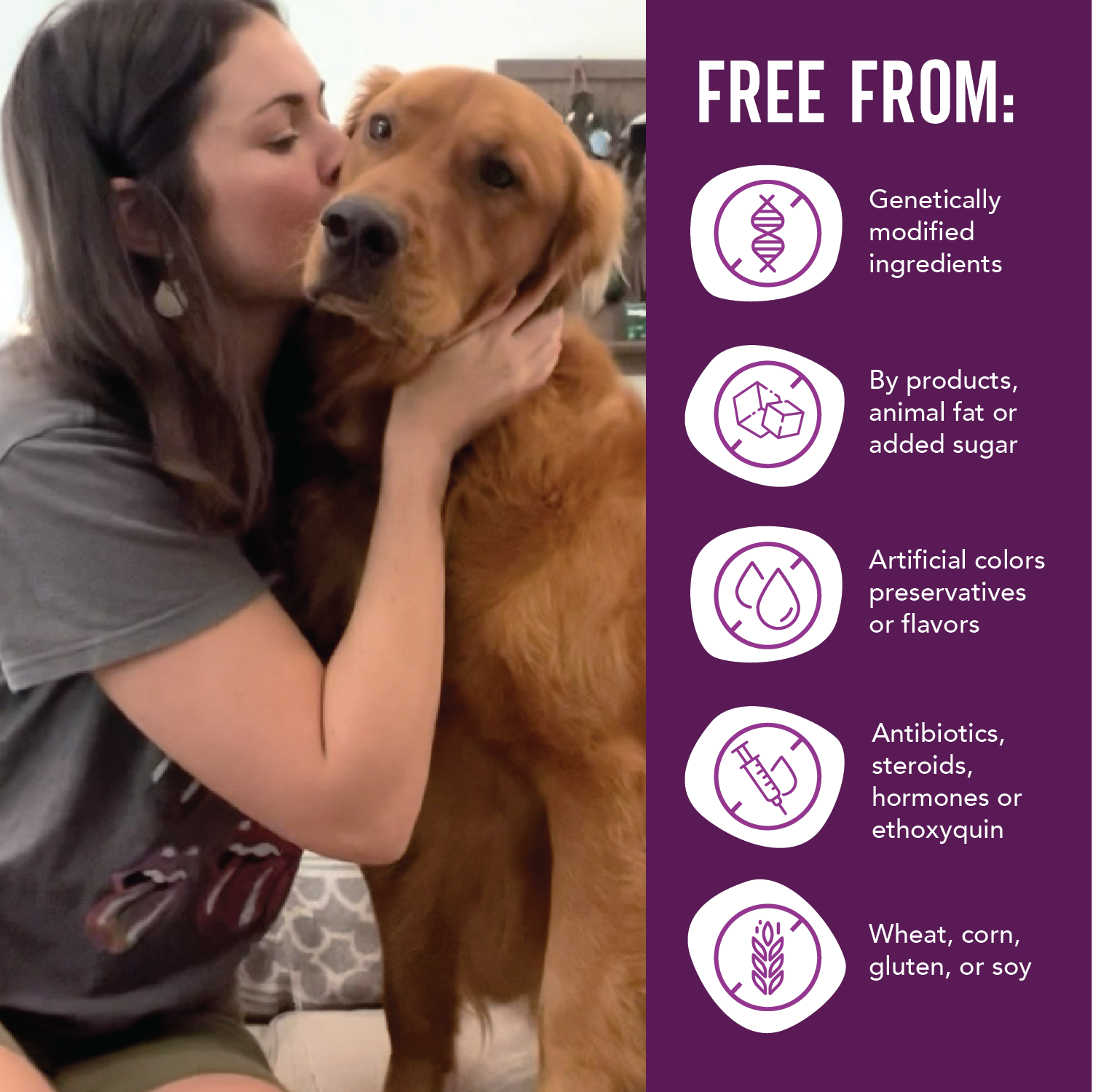 Grain Free Stew Variety Pack: Beef, Chicken