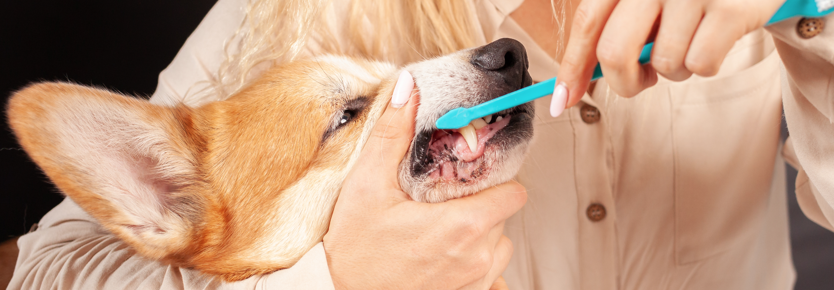 image 01.png__PID:8bd8a0ce-8d6d-4ce5-be2e-30aefca291e9