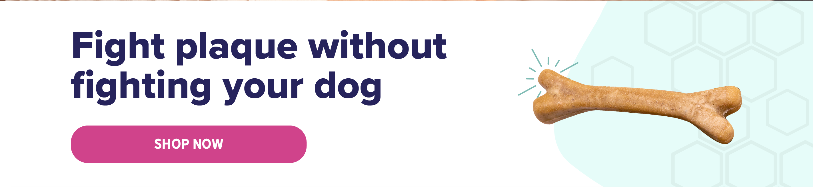 image 02.png__PID:8d6d8ce5-7e2e-40ae-bca2-91e950395411