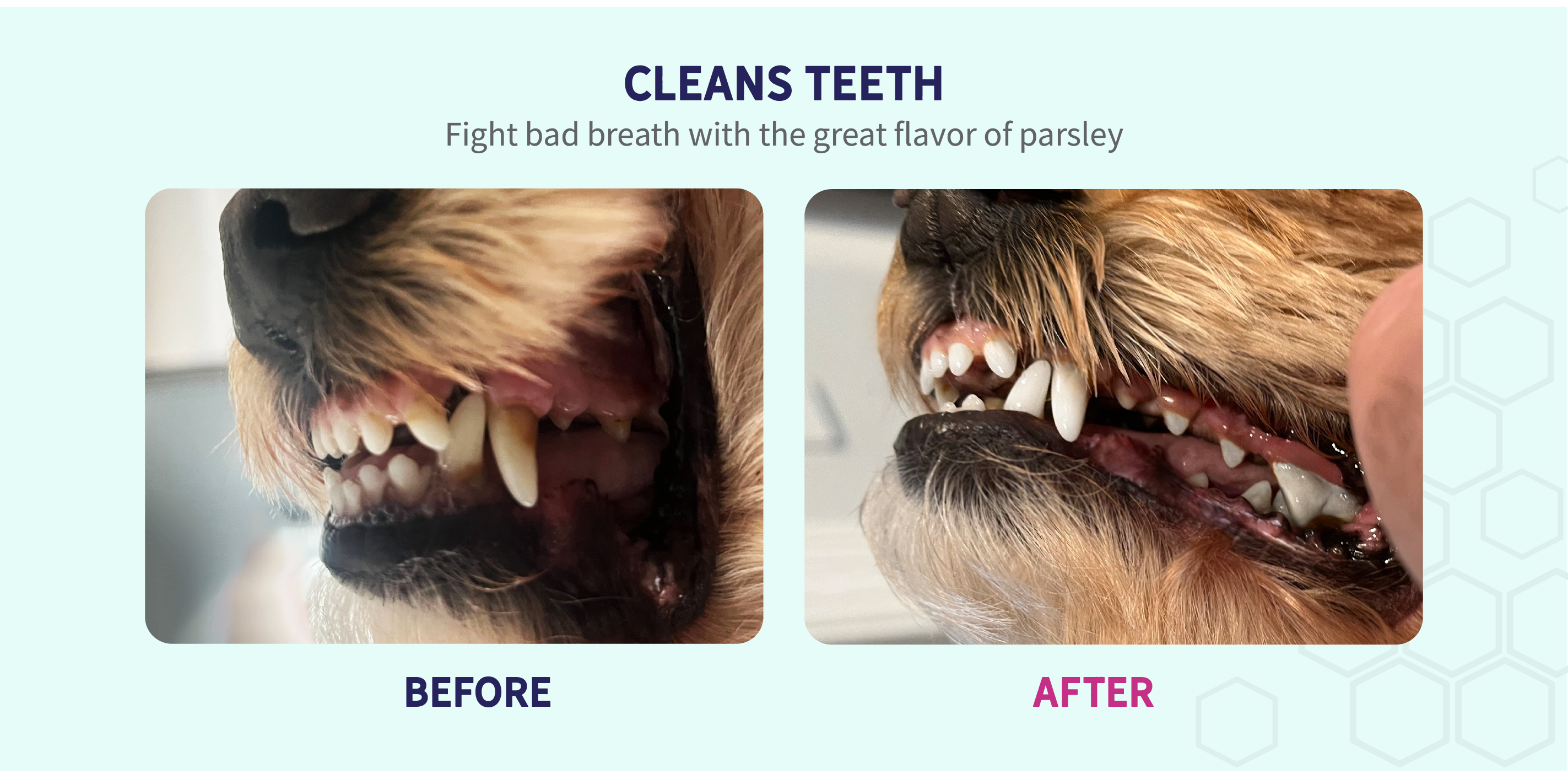 image 04.png__PID:fca291e9-5039-4411-a98f-5e97d6c5807a