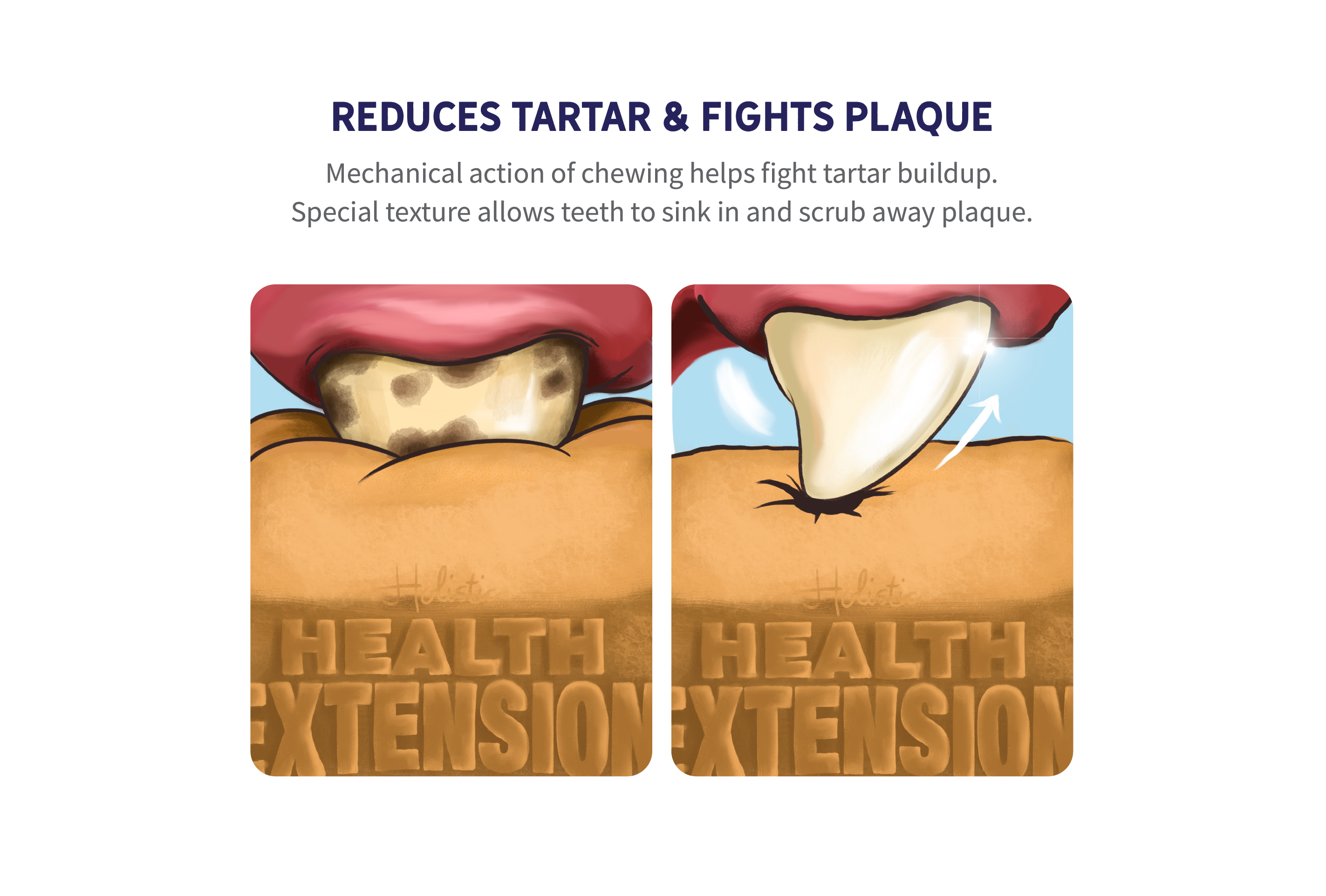 image 08.png__PID:a71ea23c-11ff-4136-9fb0-3b976d270e77