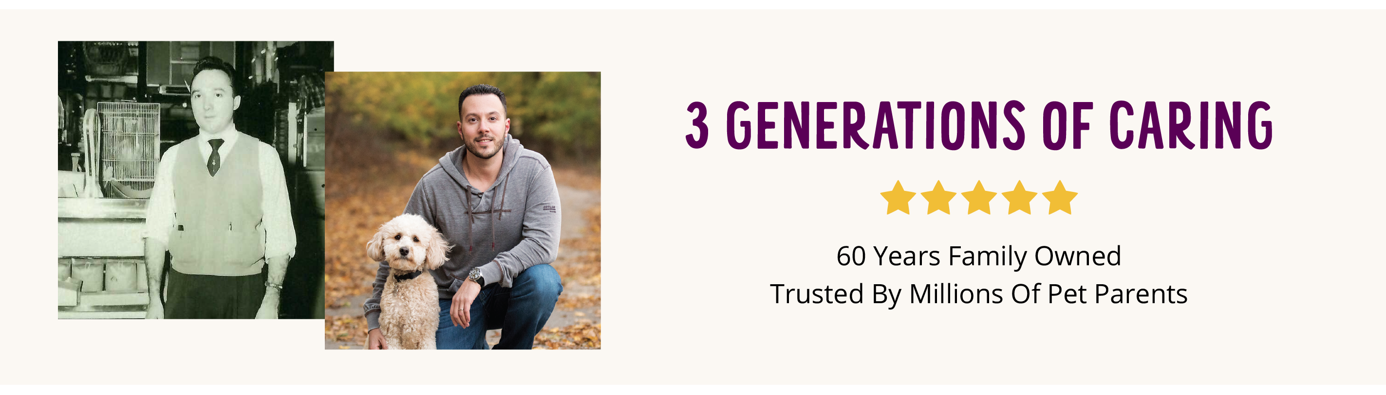 image 09.png__PID:11ff1136-1fb0-4b97-ad27-0e77723e4960