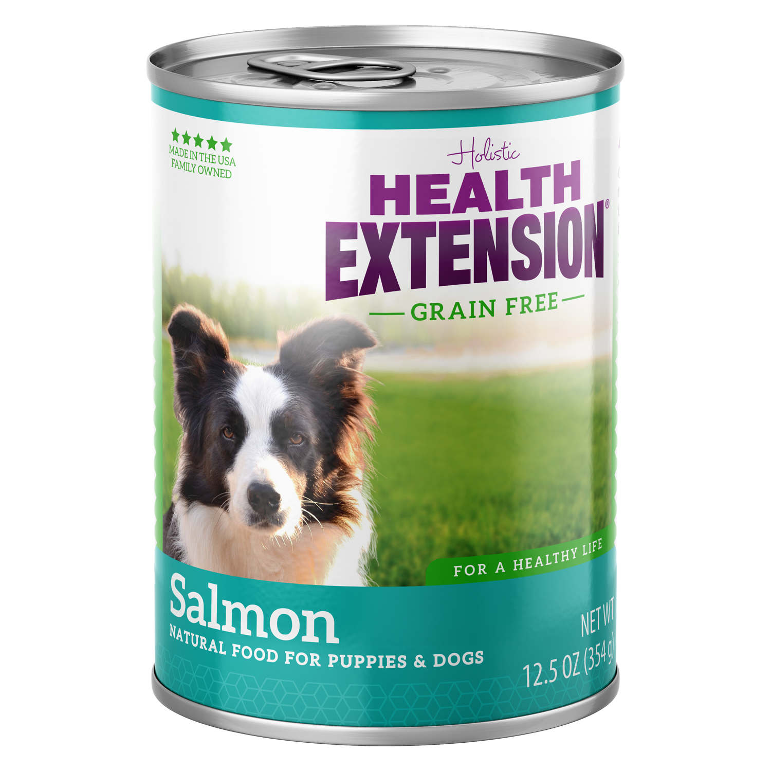 Salmon dog food wet top