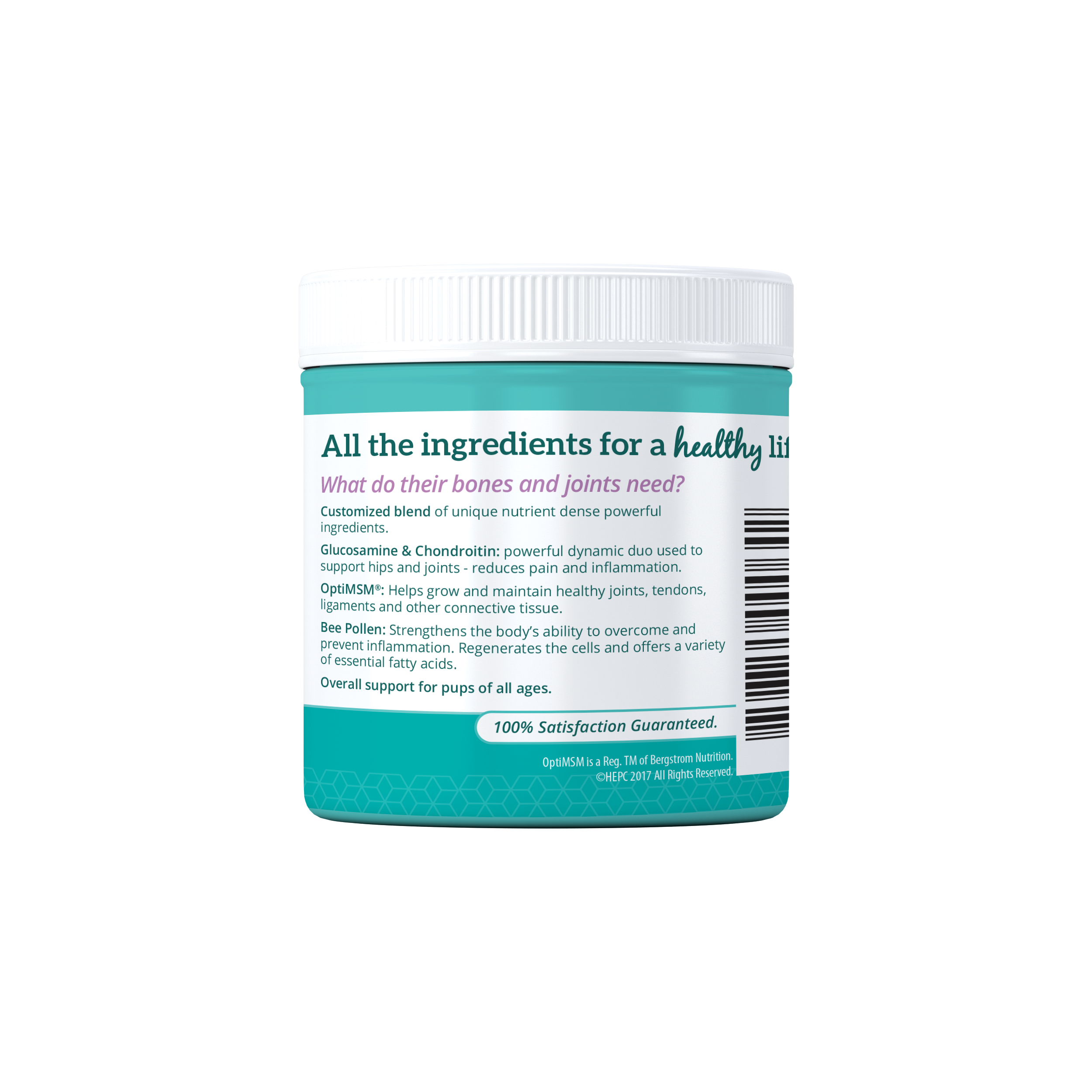 HIP + JOINT Mobility Supplement