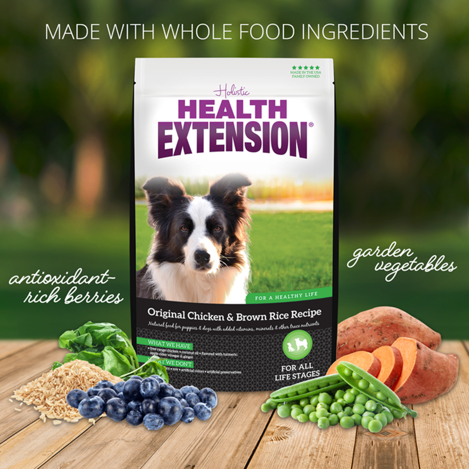 How To Guide:  Feeding & Storing Health Extension®