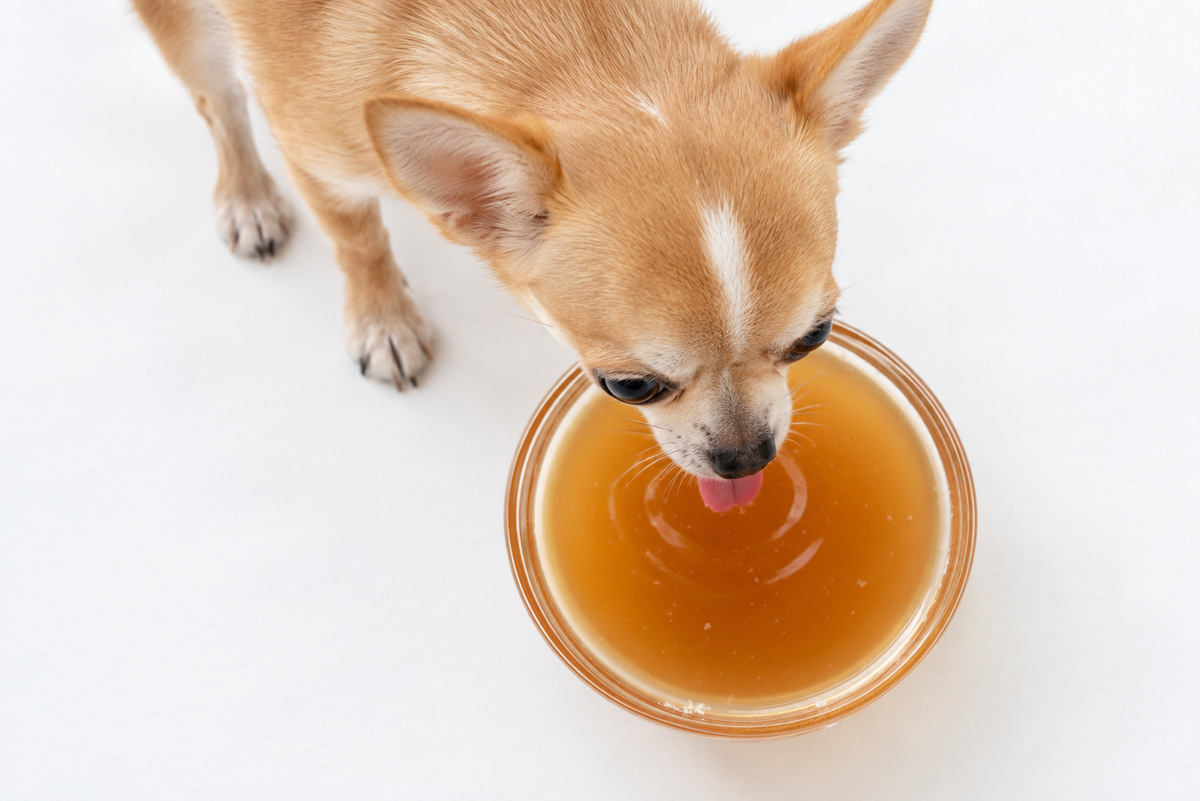 Bone Broth for Dogs: Why We Cook Every Recipe in It