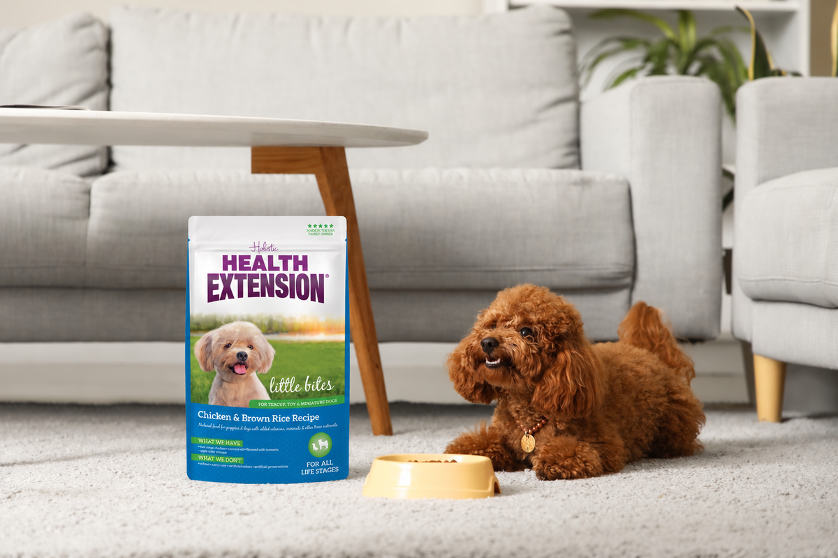 Best Small Breed Dog Food: 8 Brands Tested (2026)