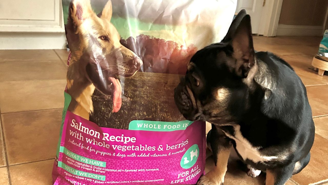 Expert Tips: Balanced Nutrition for Your Pet