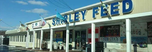 From Small Business to Success: Shirley Feed