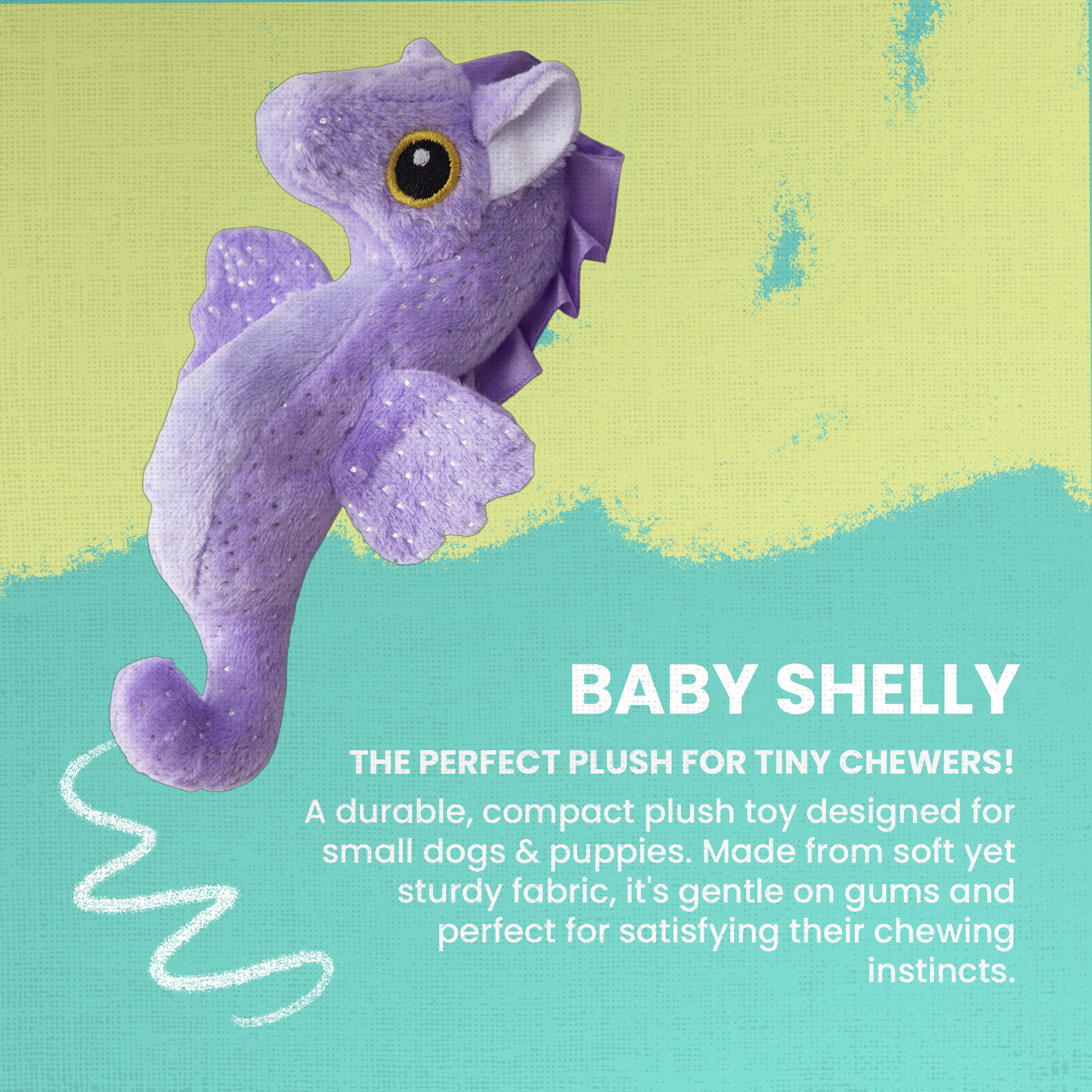 Baby Shelly