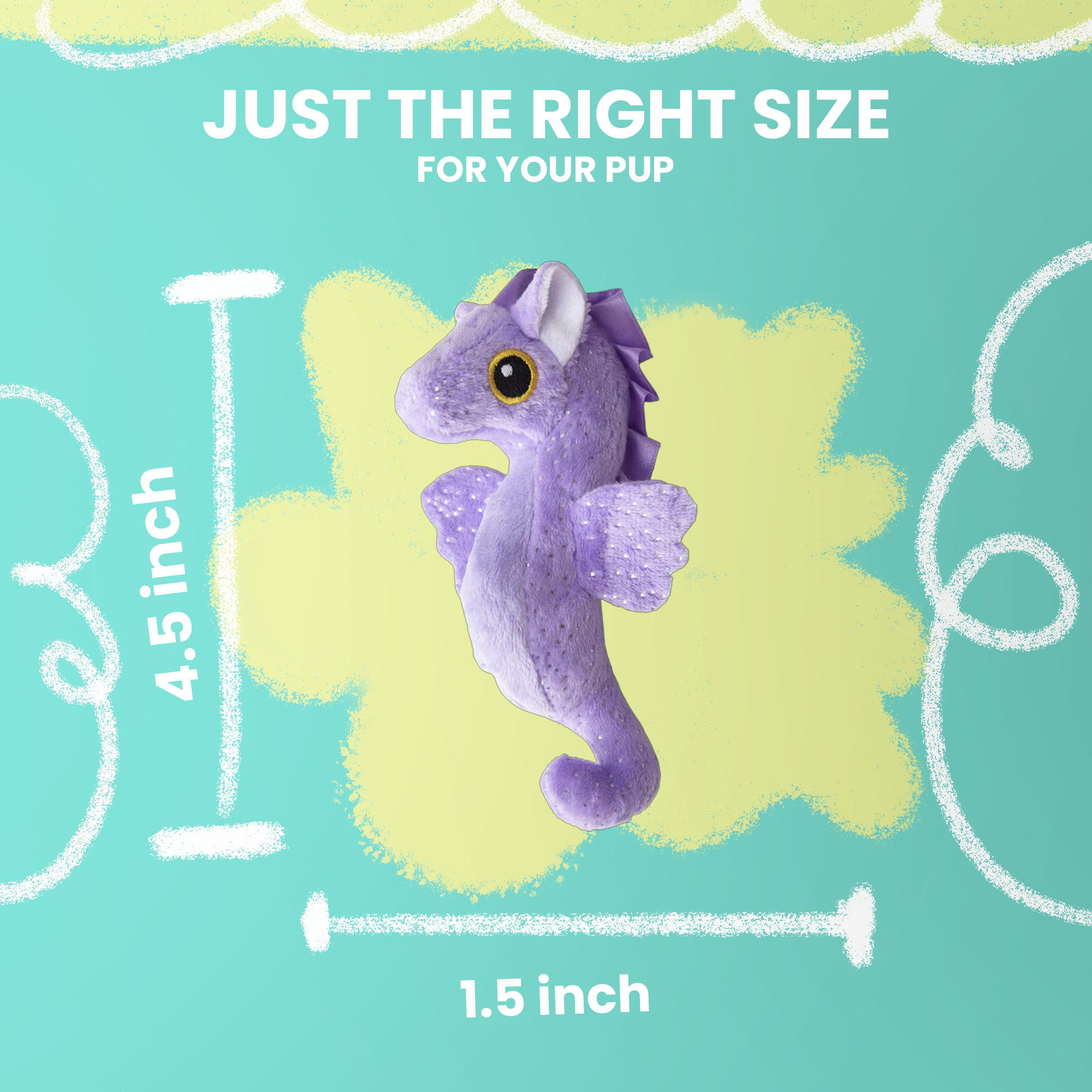 Baby Shelly