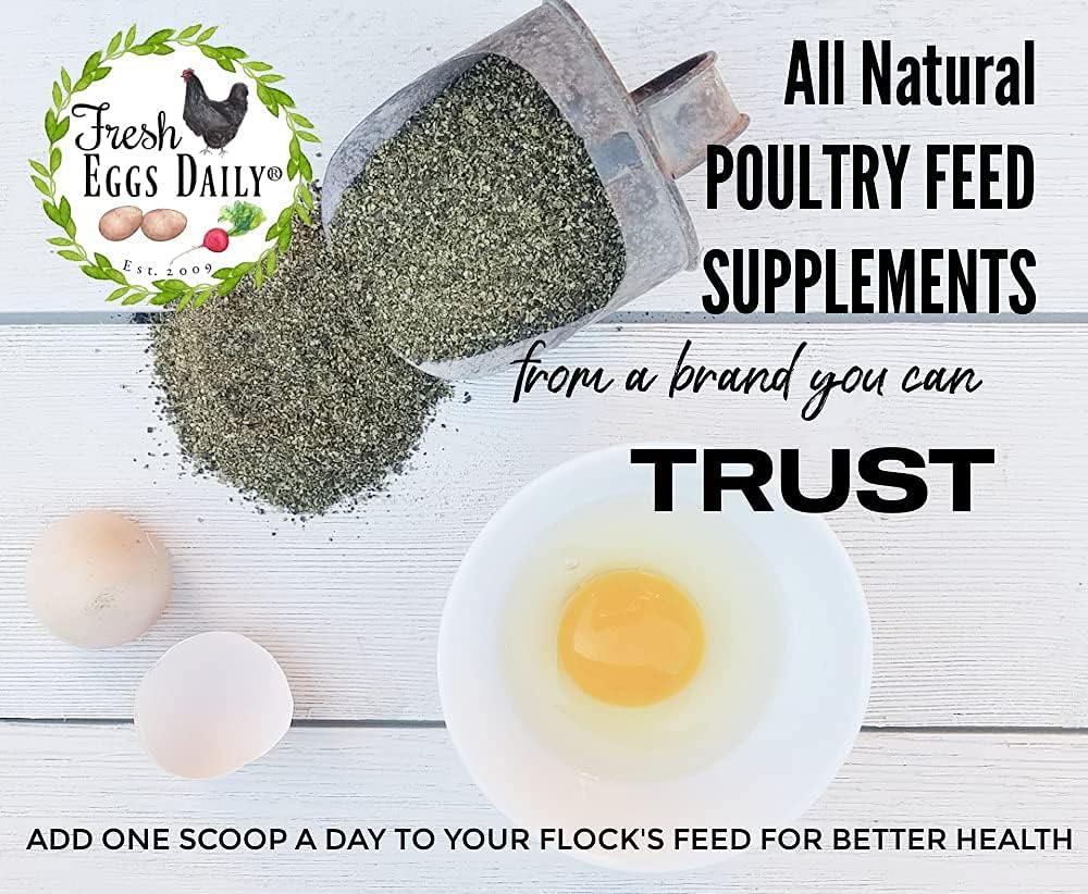 A container of Fresh Eggs Daily Coop Kelp Organic Chicken & Duck Supplement by Fresh Eggs Daily Shop, labeled for chicks, chickens, and ducks with a chicken, duck, and white fence on the label. Supports immunity and improves egg quality.