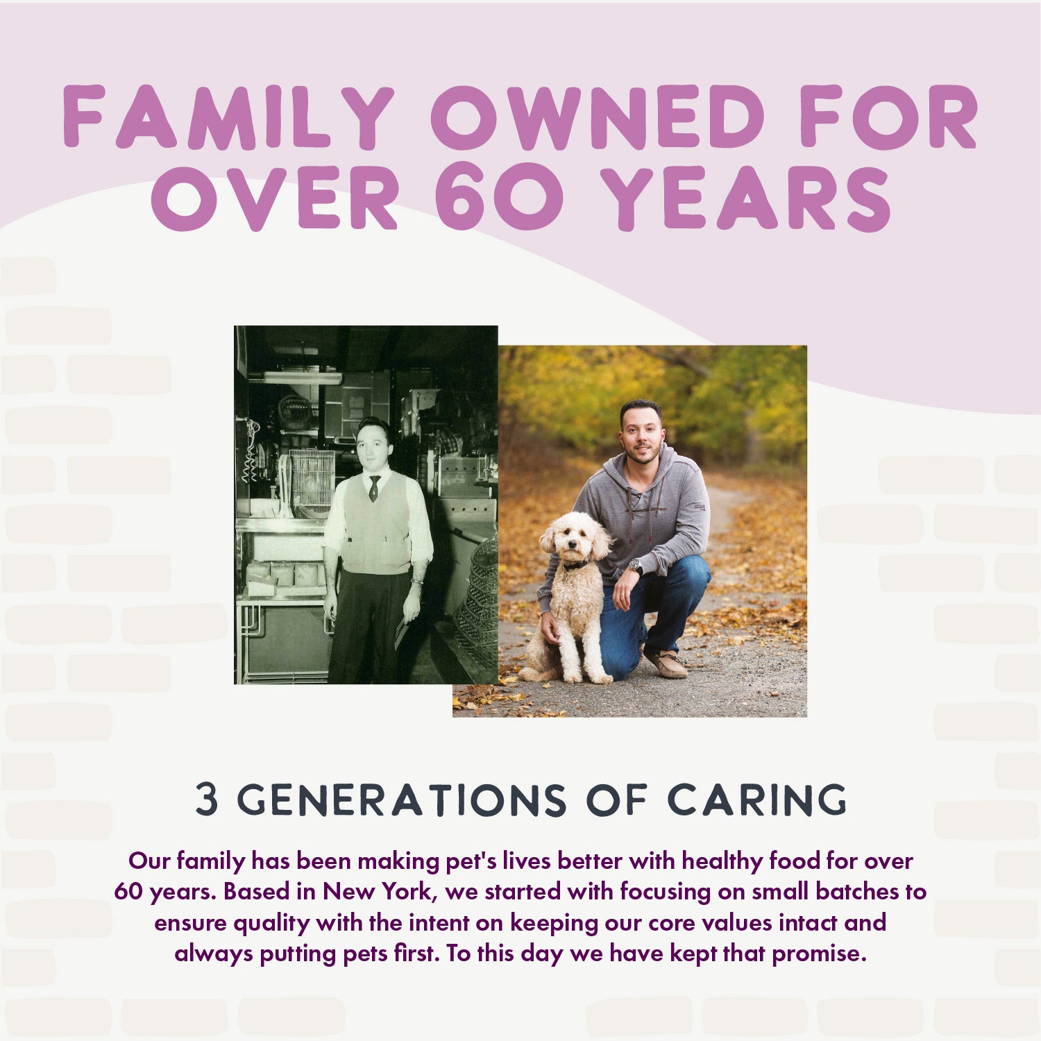 Oven Baked Salmon Treats