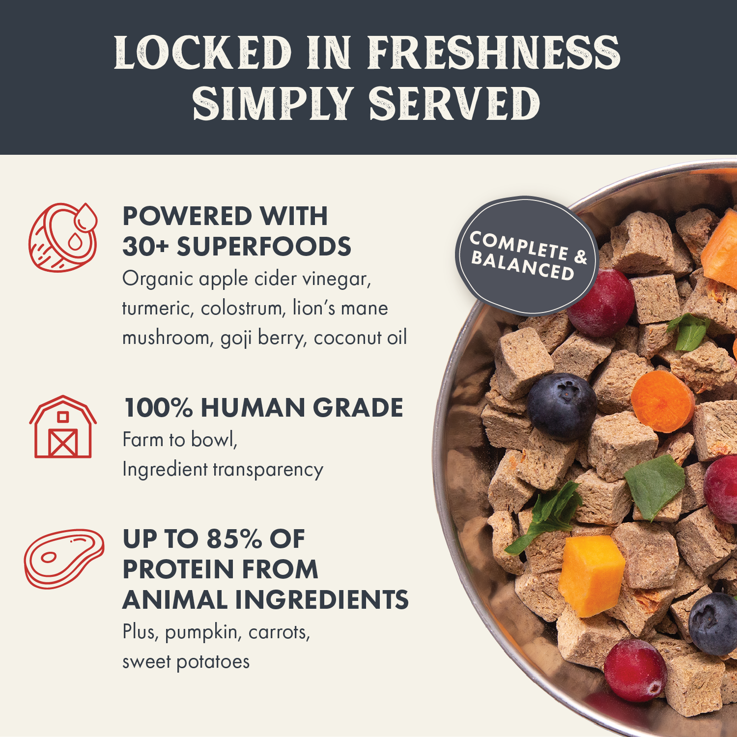 Health Extension Air Dried dog food highlighting freshness, with 'Powered with 30+ Superfoods' including organic ingredients and '100% Human Grade' assurance, boasting up to 85% protein from animal sources.