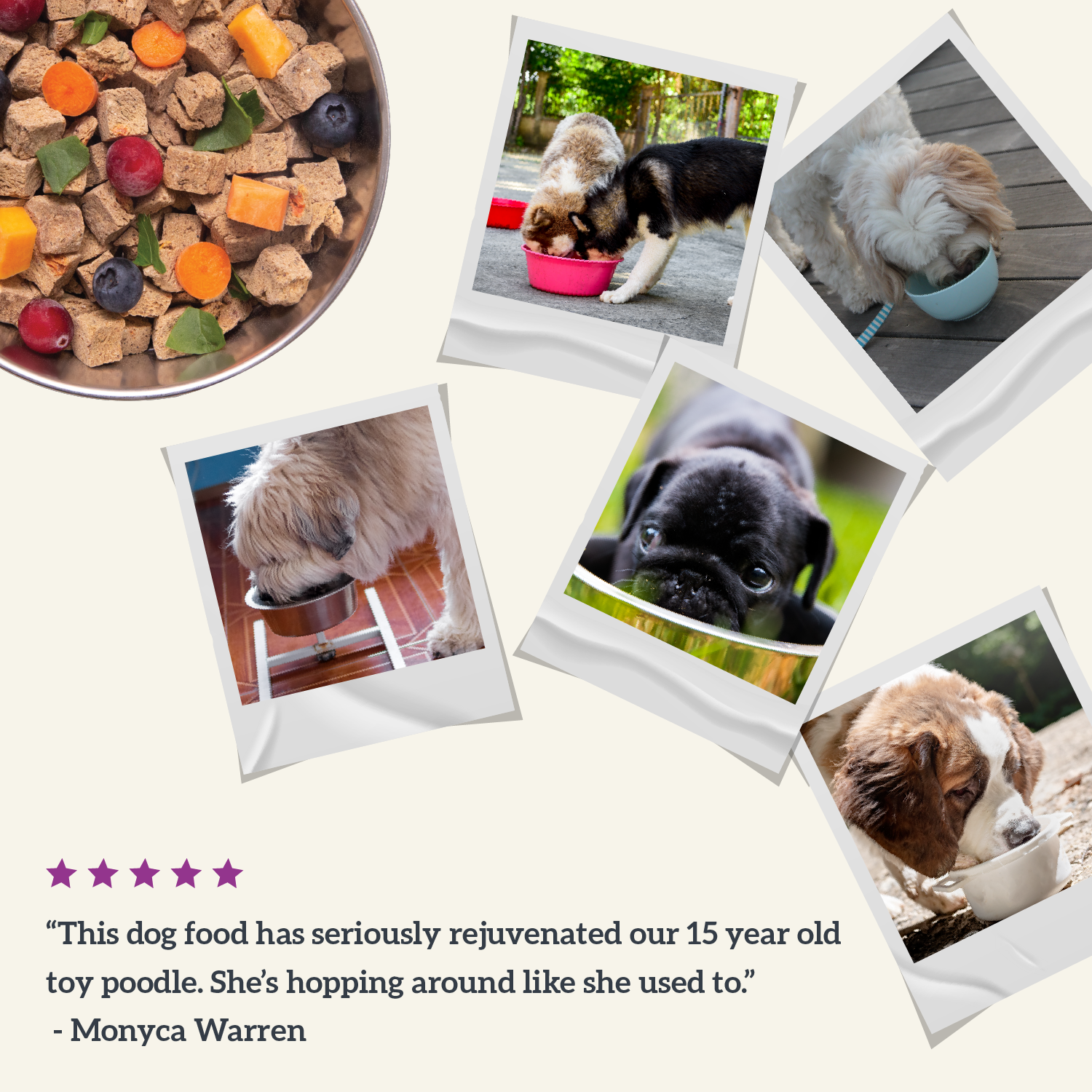 Collage of dogs enjoying Health Extension's Air Dried dog food, with testimonial from Monyca W.