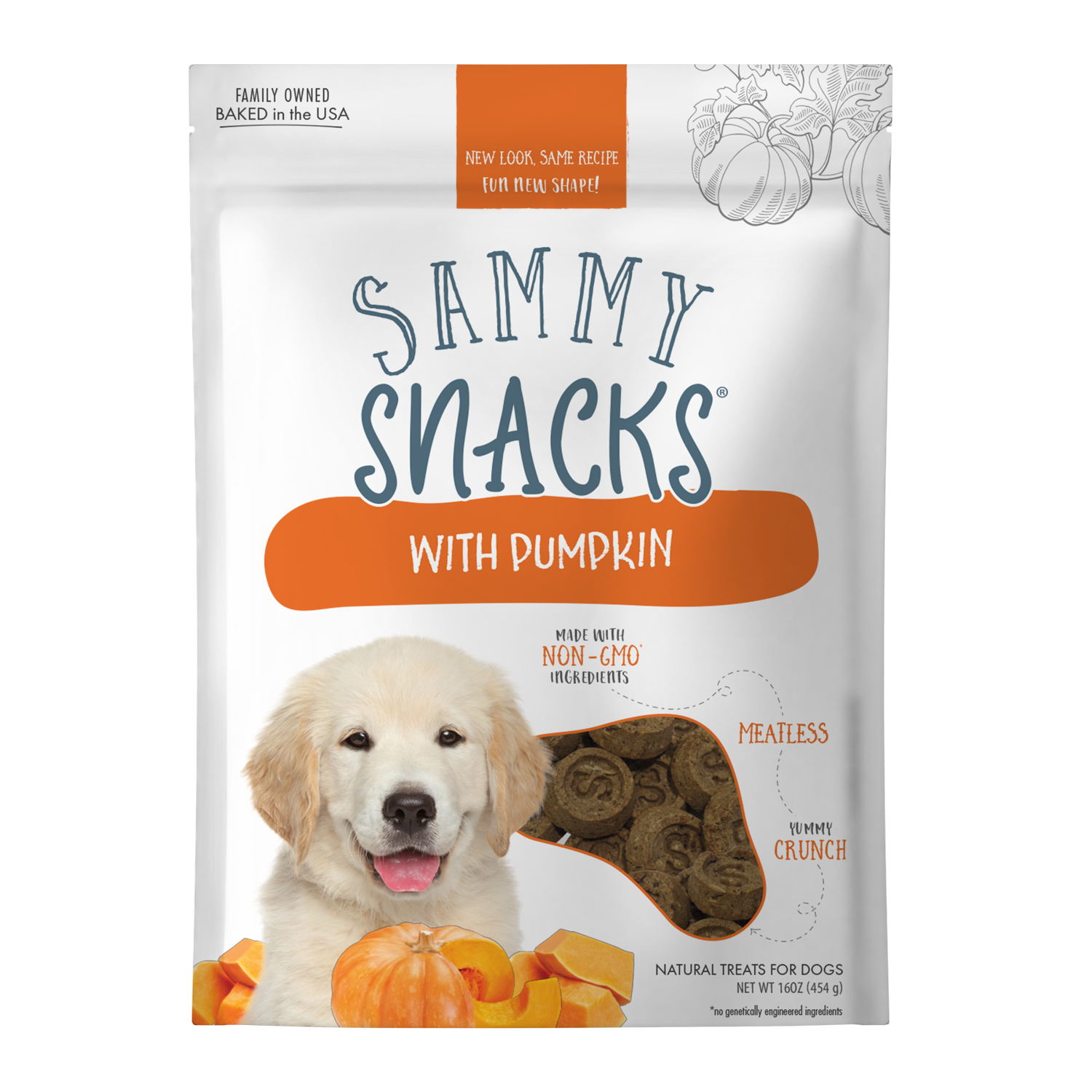 Sammy Snacks With Pumpkin
