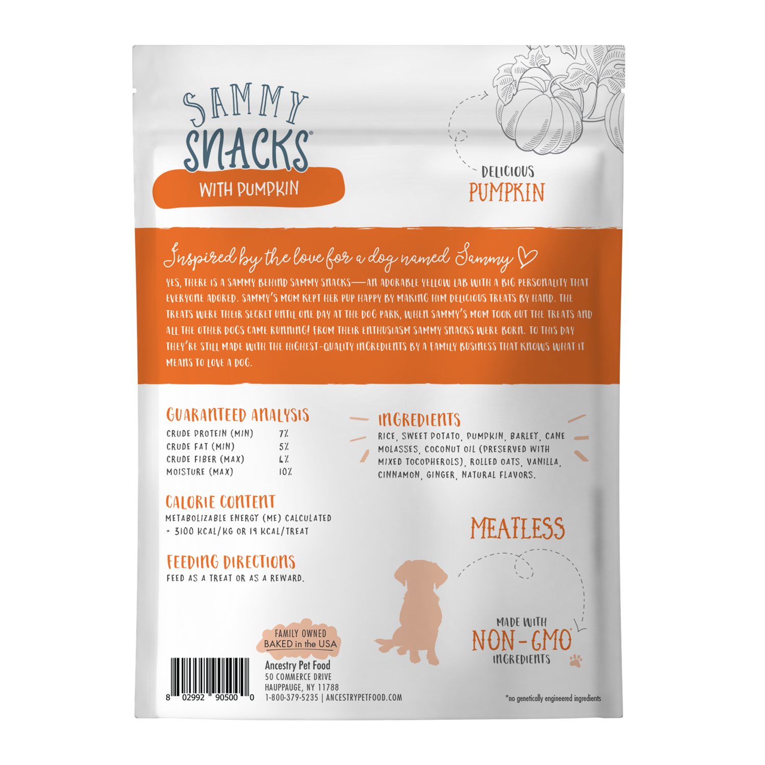 Sammy Snacks With Pumpkin