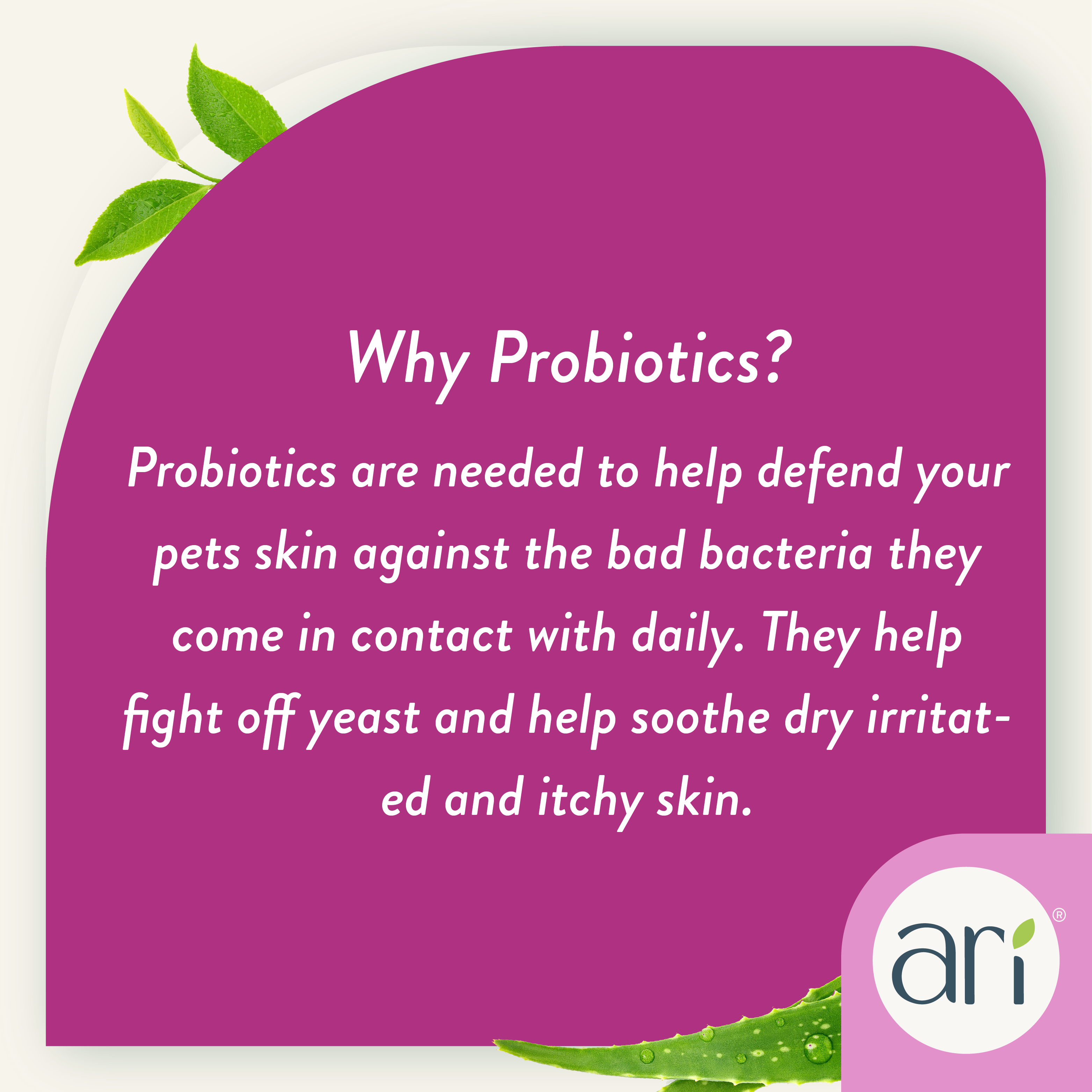 ARI Probiotic Anti-Itch Spray