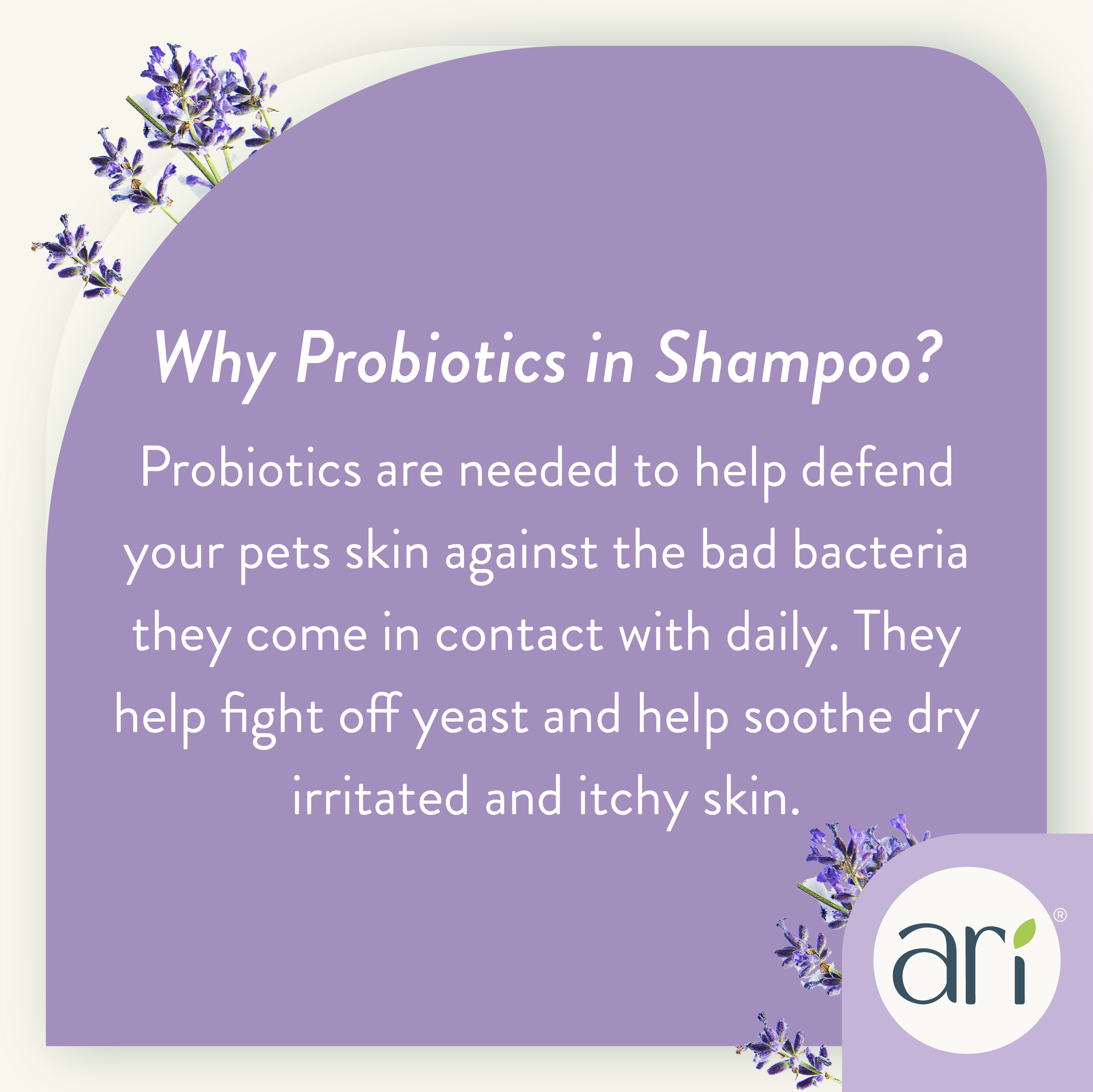 ARI Probiotic Sensitive Skin Shampoo