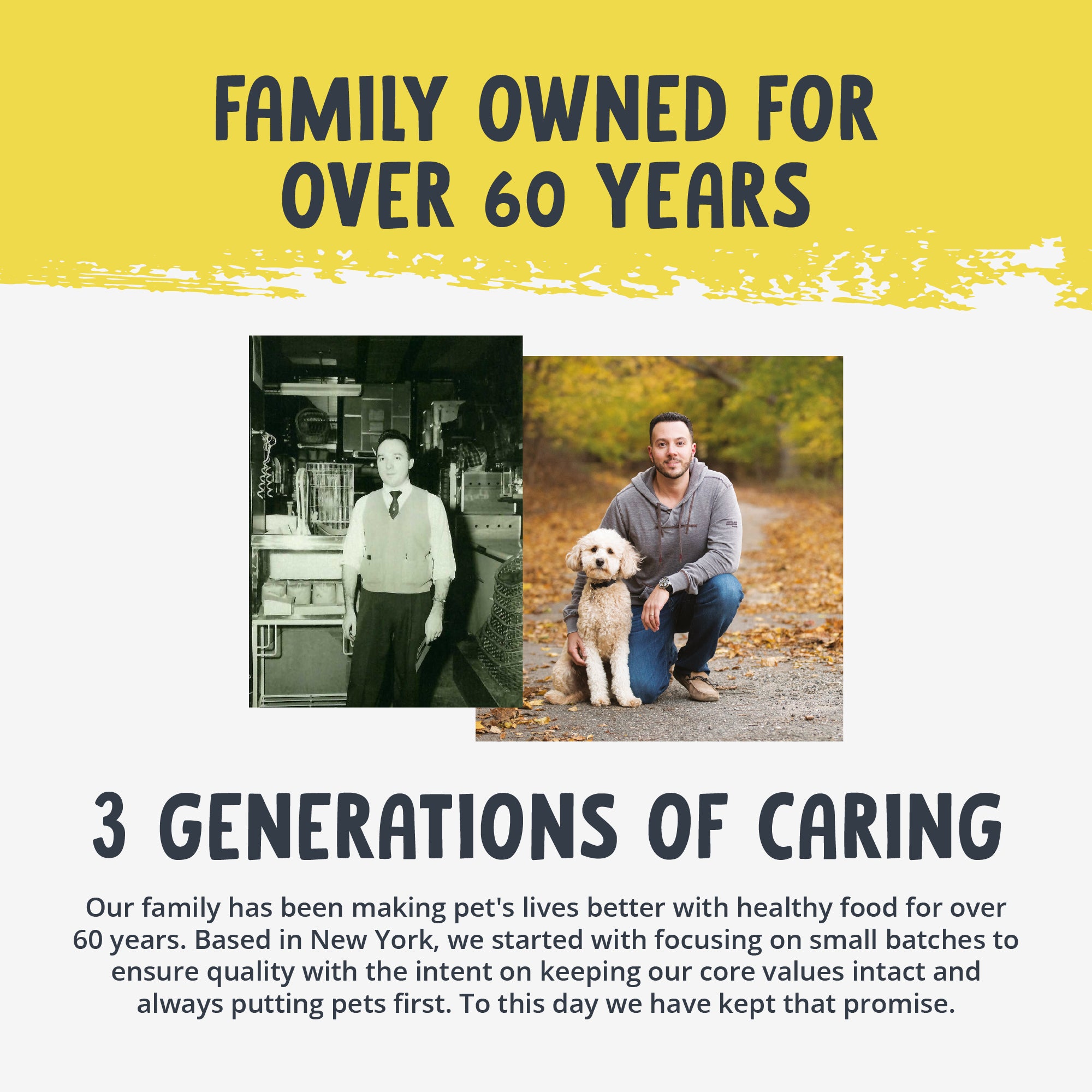 Equine Banana Bliss Treats with Colostrum