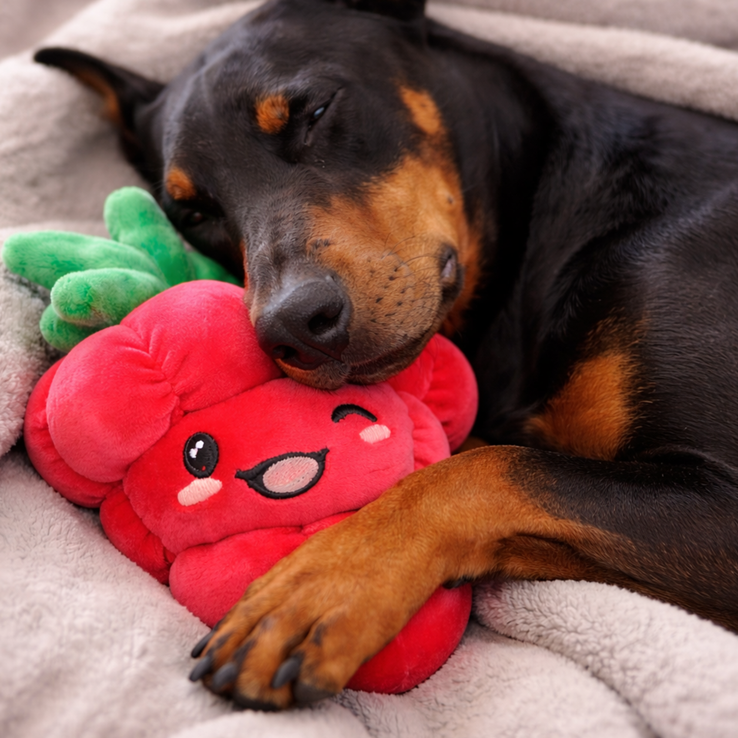 Berry Big by Snugarooz is a soft, plush dog toy shaped like a red raspberry with a green top, smiling and winking, embroidered eyes, wide mouth, and pink cheeks—perfect for playful pups and stands out against any background.