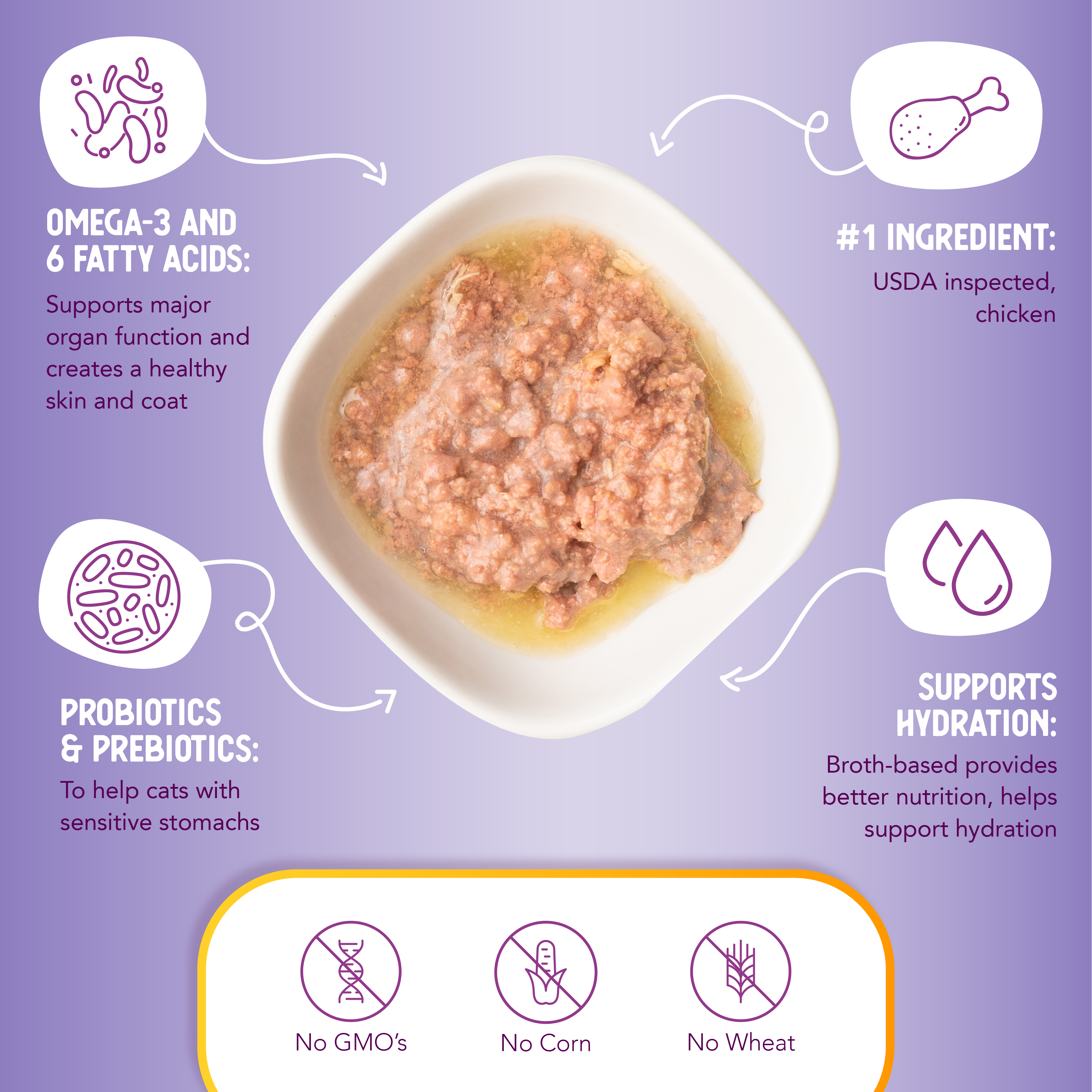 Grain Free Chicken in Gravy Recipe