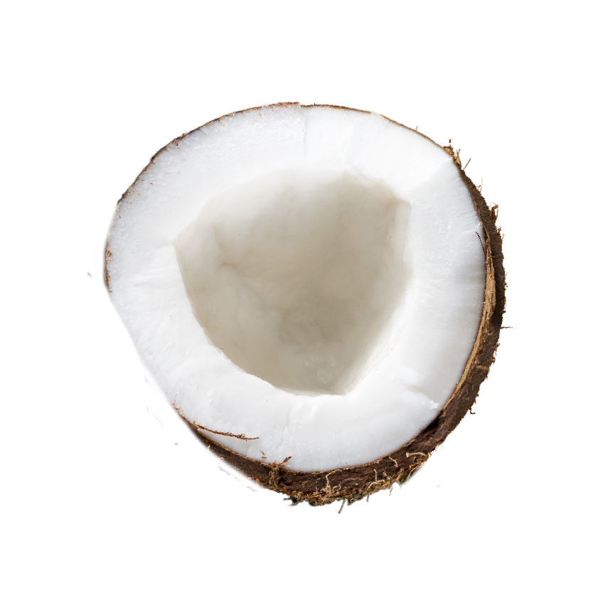 COCONUT OIL.png__PID:652bdc0f-1b97-44be-b418-ecf2ecaf0aca